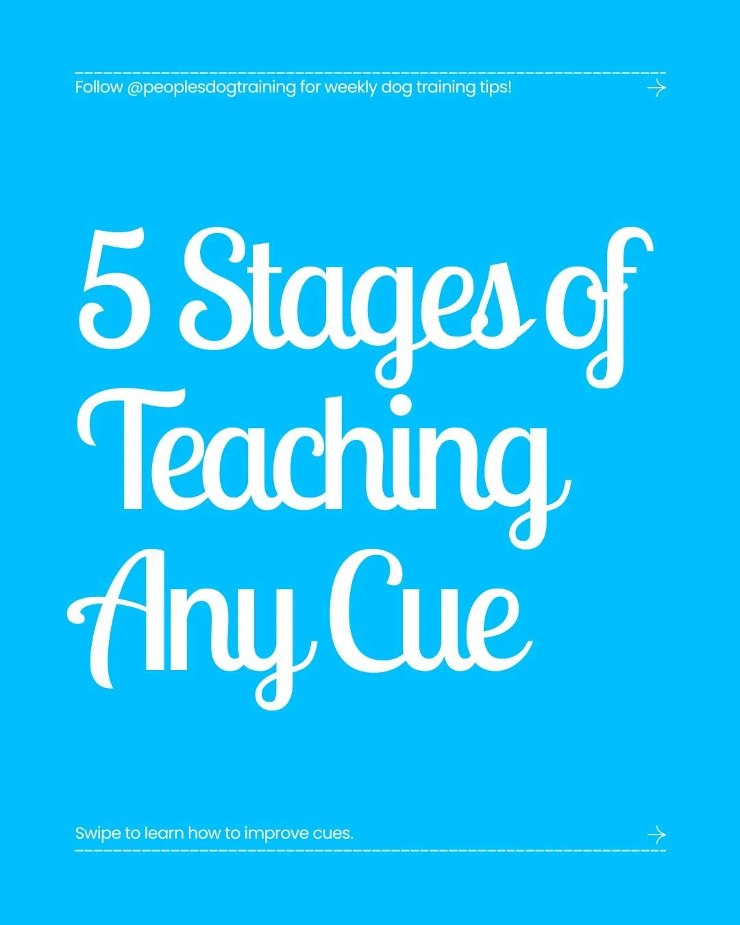 A dog who suddenly seems to &ldquo;forget&rdquo; a cue may not have forgotten anything. A stage of learning may simply need more work. Reliable behaviors are built in layers like luring, acquisition, fluency, generalization, and maintenance.

Your do