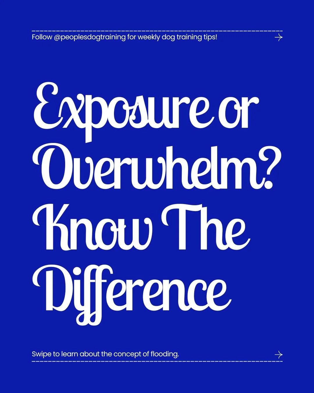 &ldquo;They&rsquo;ll get used to it.&rdquo; Maybe. But how we help them get used to it matters.

Exposure itself isn&rsquo;t the problem. The problem is asking a pet to stay in an experience after their stress has climbed beyond what they can comfort