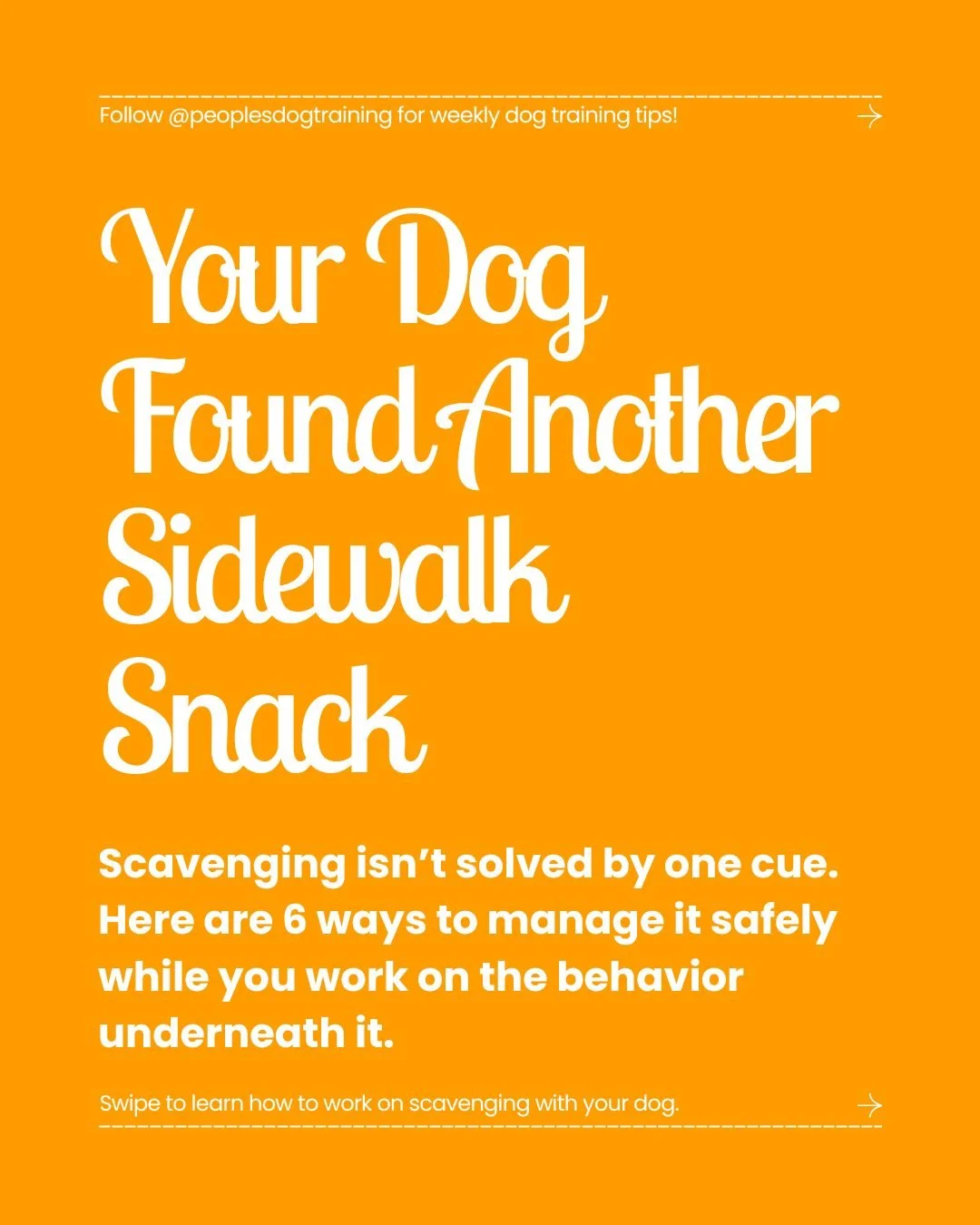 If your walks turn into a constant negotiation over sidewalk garbage, this one&rsquo;s for you. 😅

Scavenging isn&rsquo;t solved by simply avoiding tempting areas, but it also isn&rsquo;t solved by a strong &ldquo;Leave It&rdquo; or &ldquo;Drop It.&