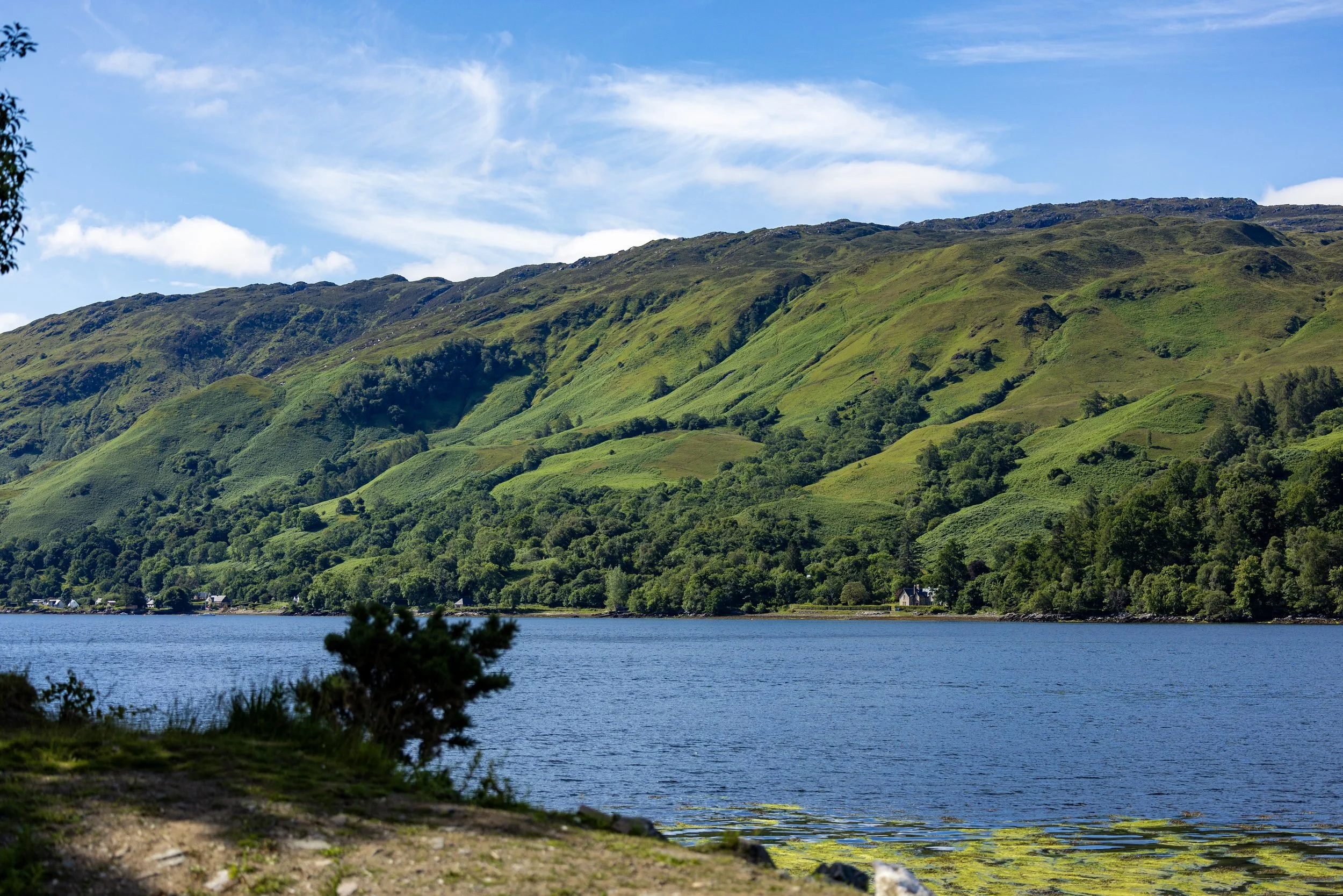 Scotland Till We Die-412.jpeg