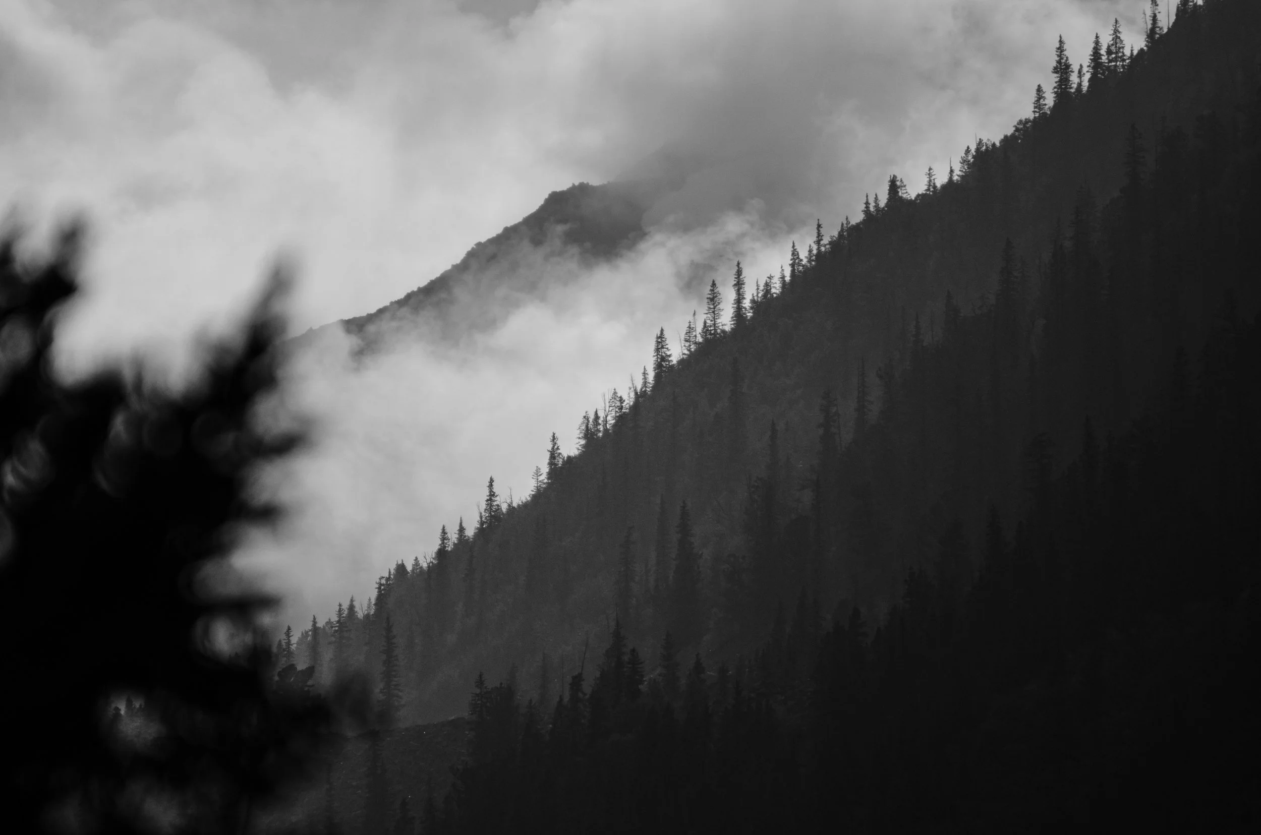 DSC_8708.jpeg