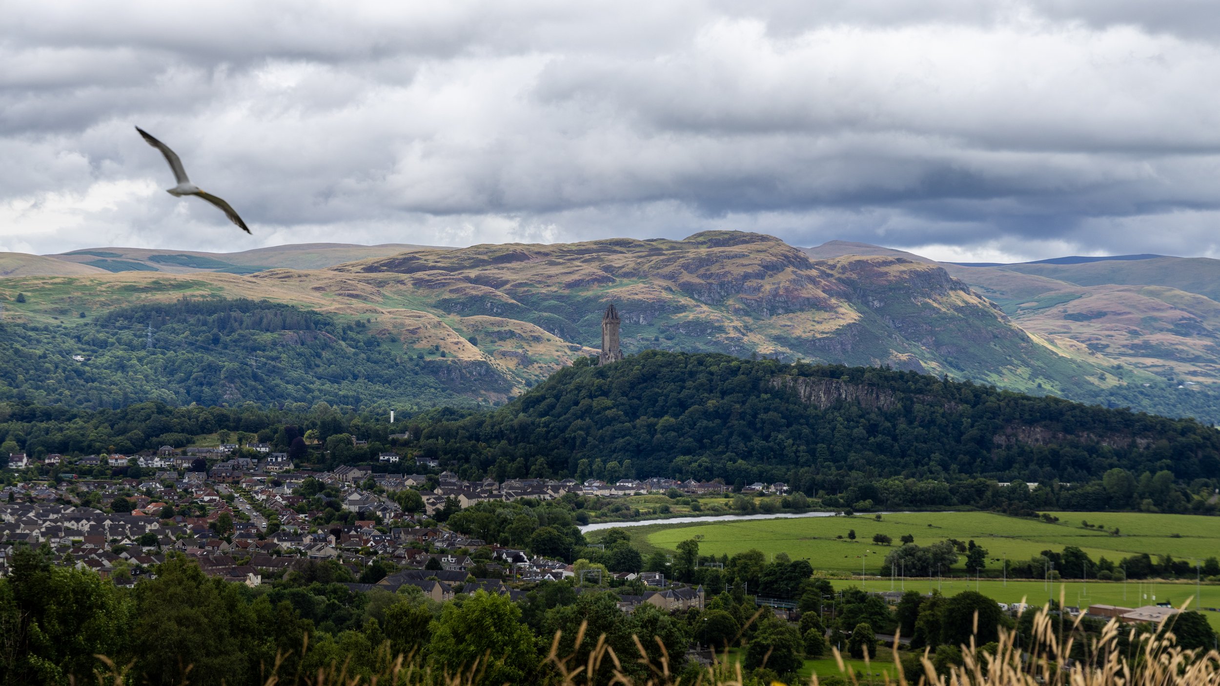 Scotland Till We Die-593.jpeg