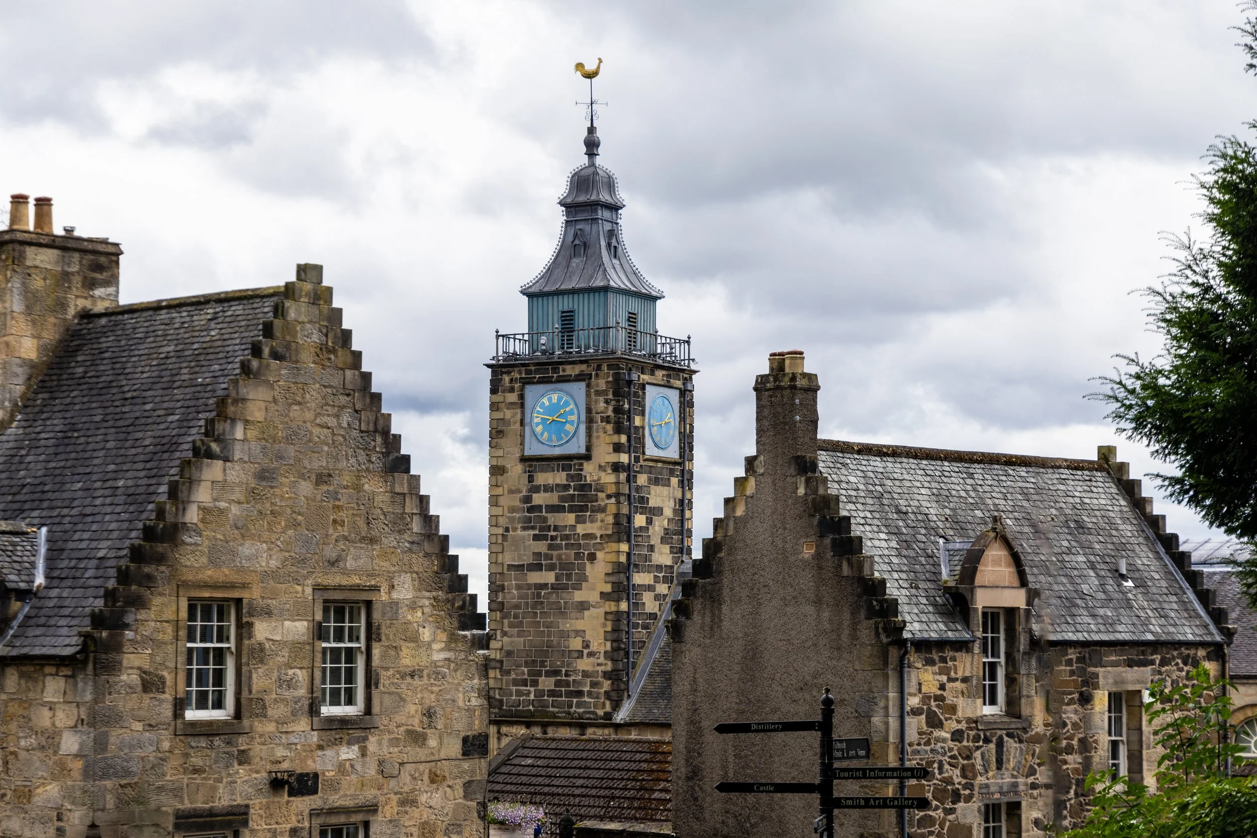 Scotland Till We Die-585.jpeg