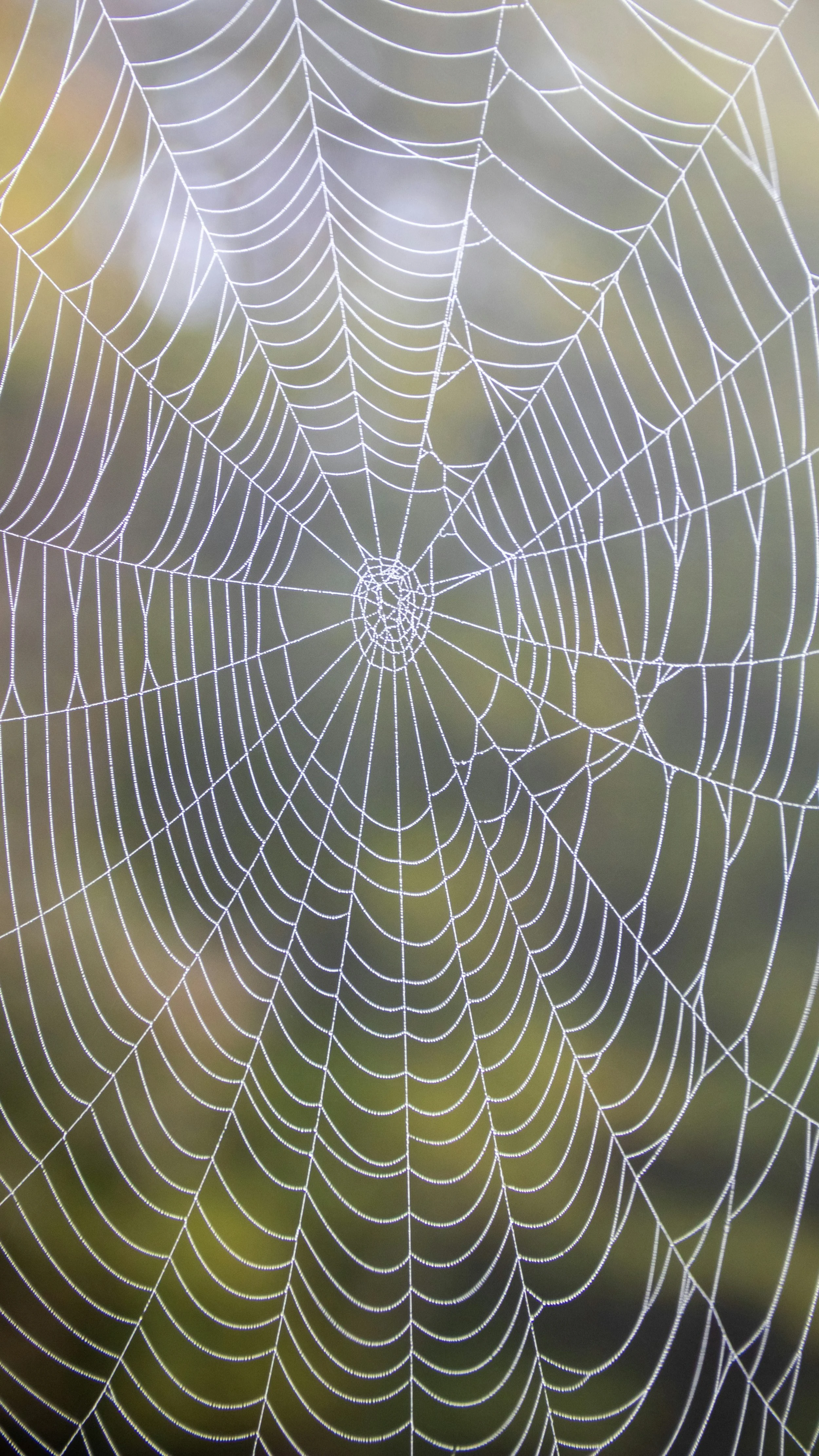 Creative Connection Practice: August