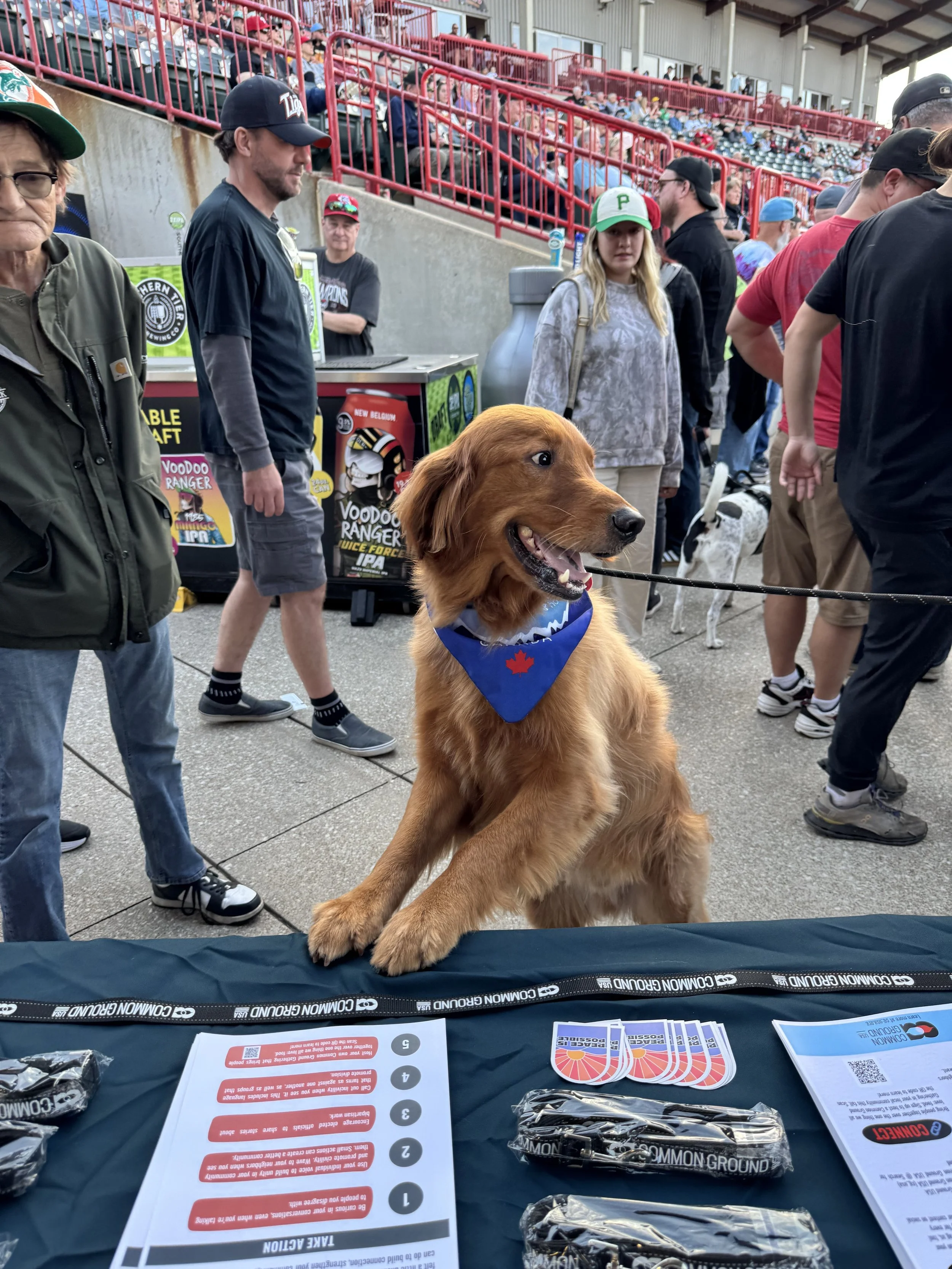 doggie 2.1.jpg