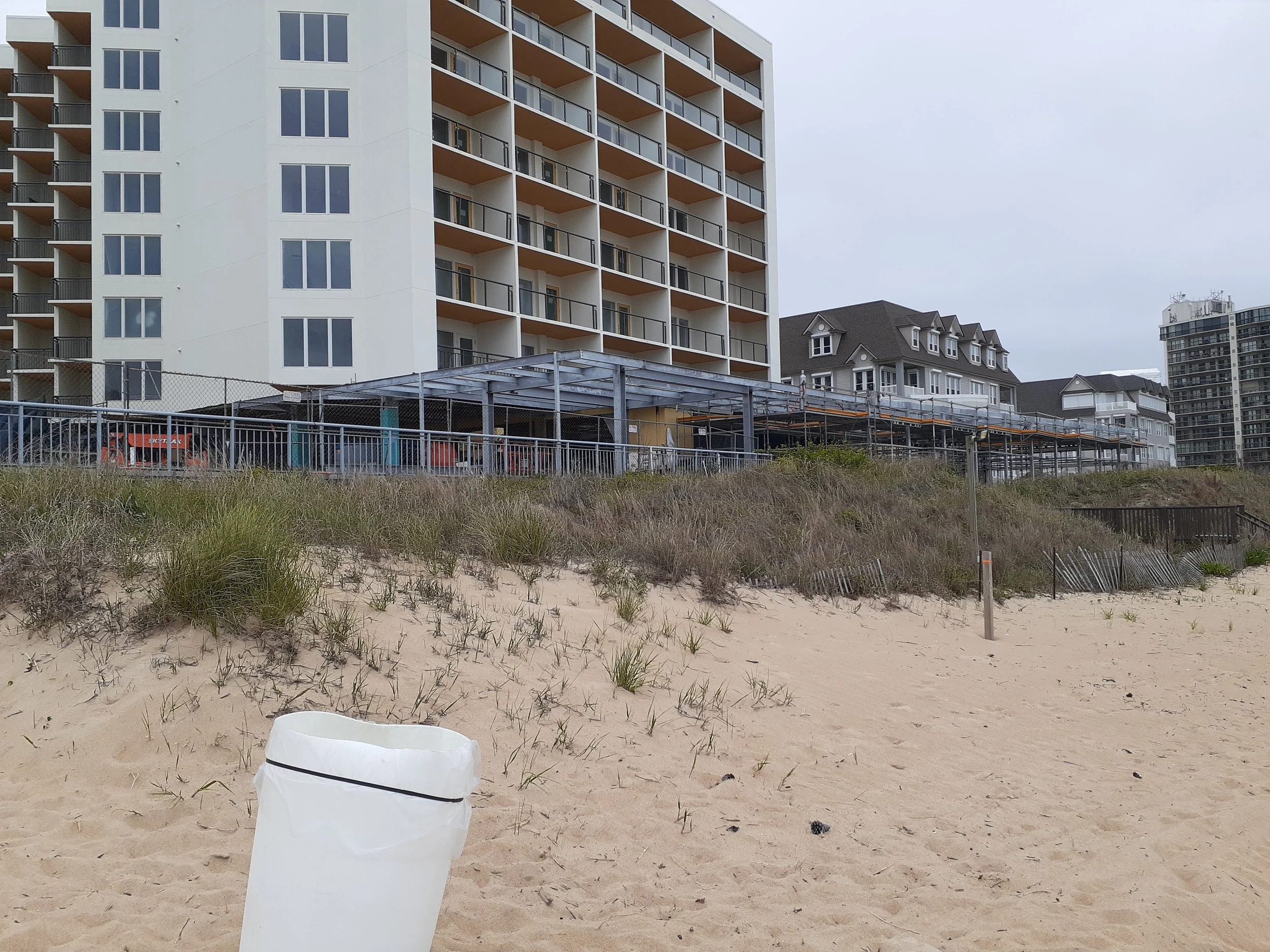beach job.jpg