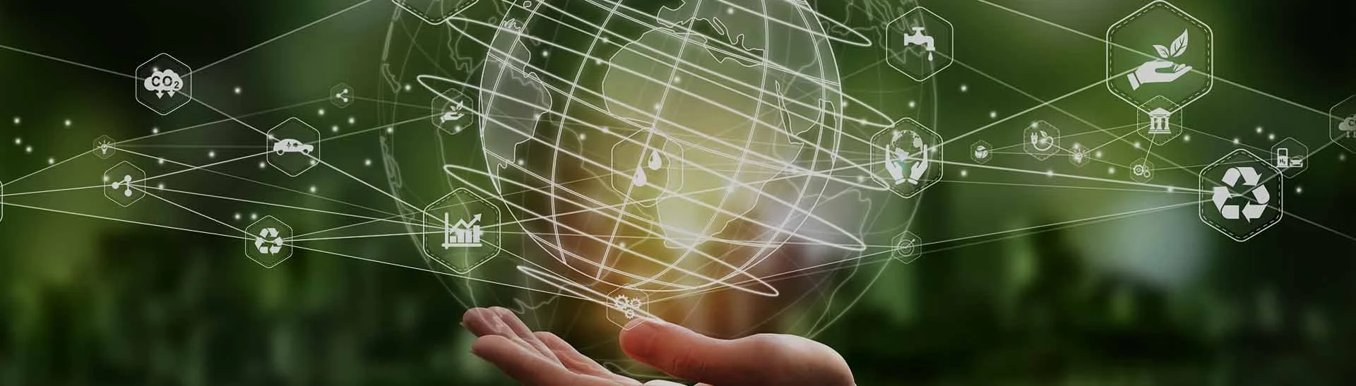 background network 2.jpg