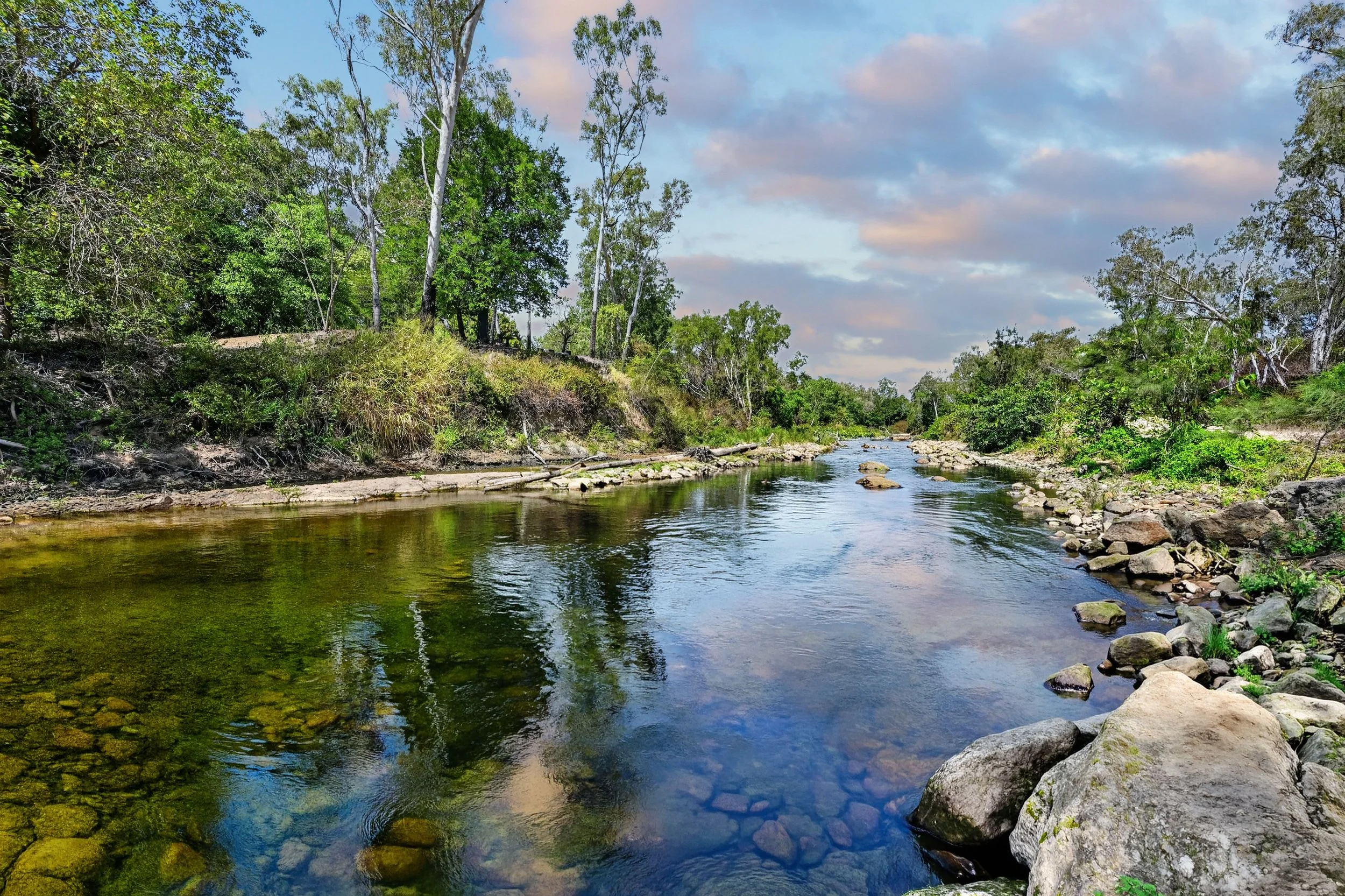 DSC_6514RIVER AI.jpg