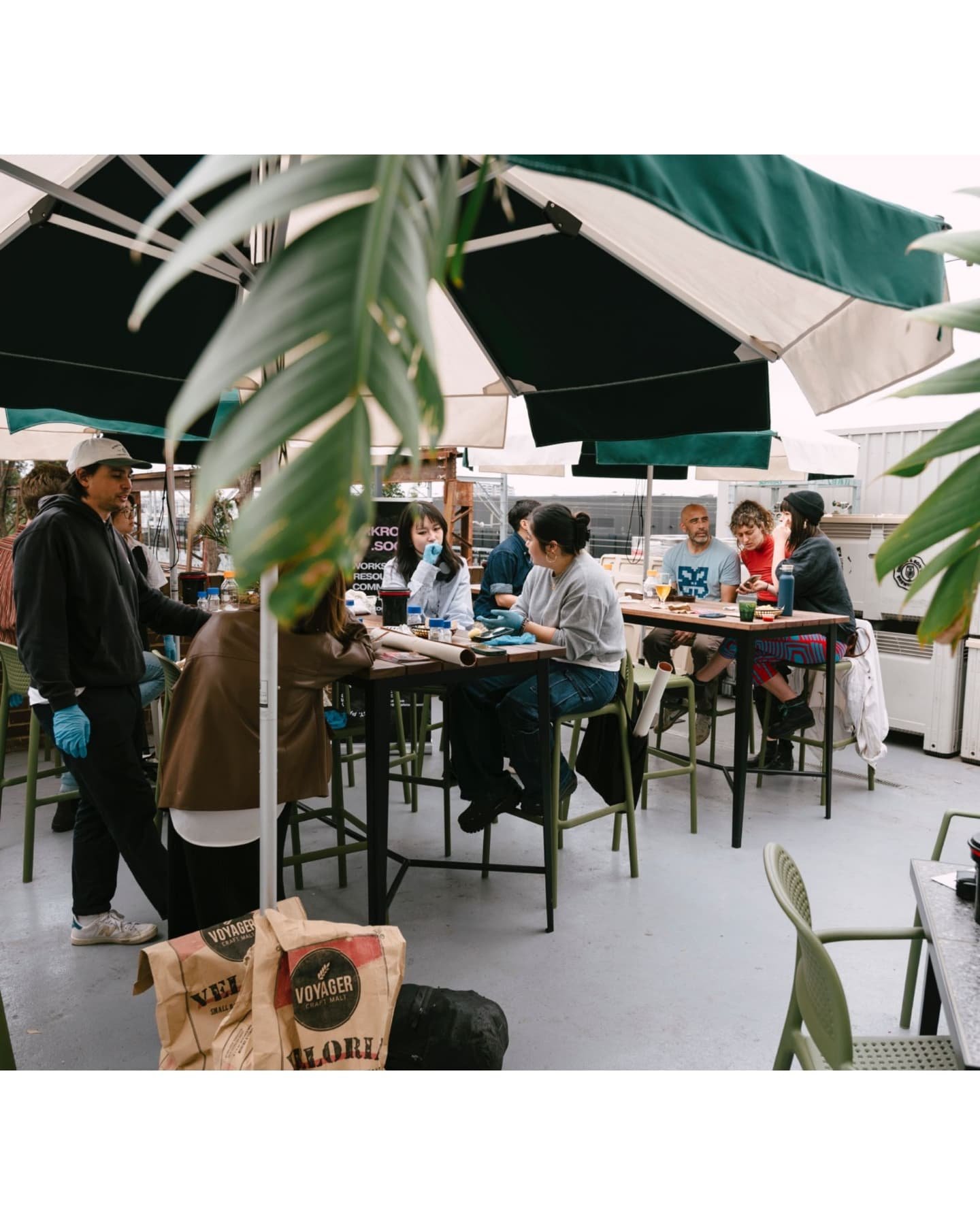 We had a lot of fun at our workshop today for the @innerwestcouncil Creative Trails in collaboration with @chuckandsonsbrewing 📸 after a photo walk where we visited some of the open studios in St Peters, we processed rolls of film outdoors at the br