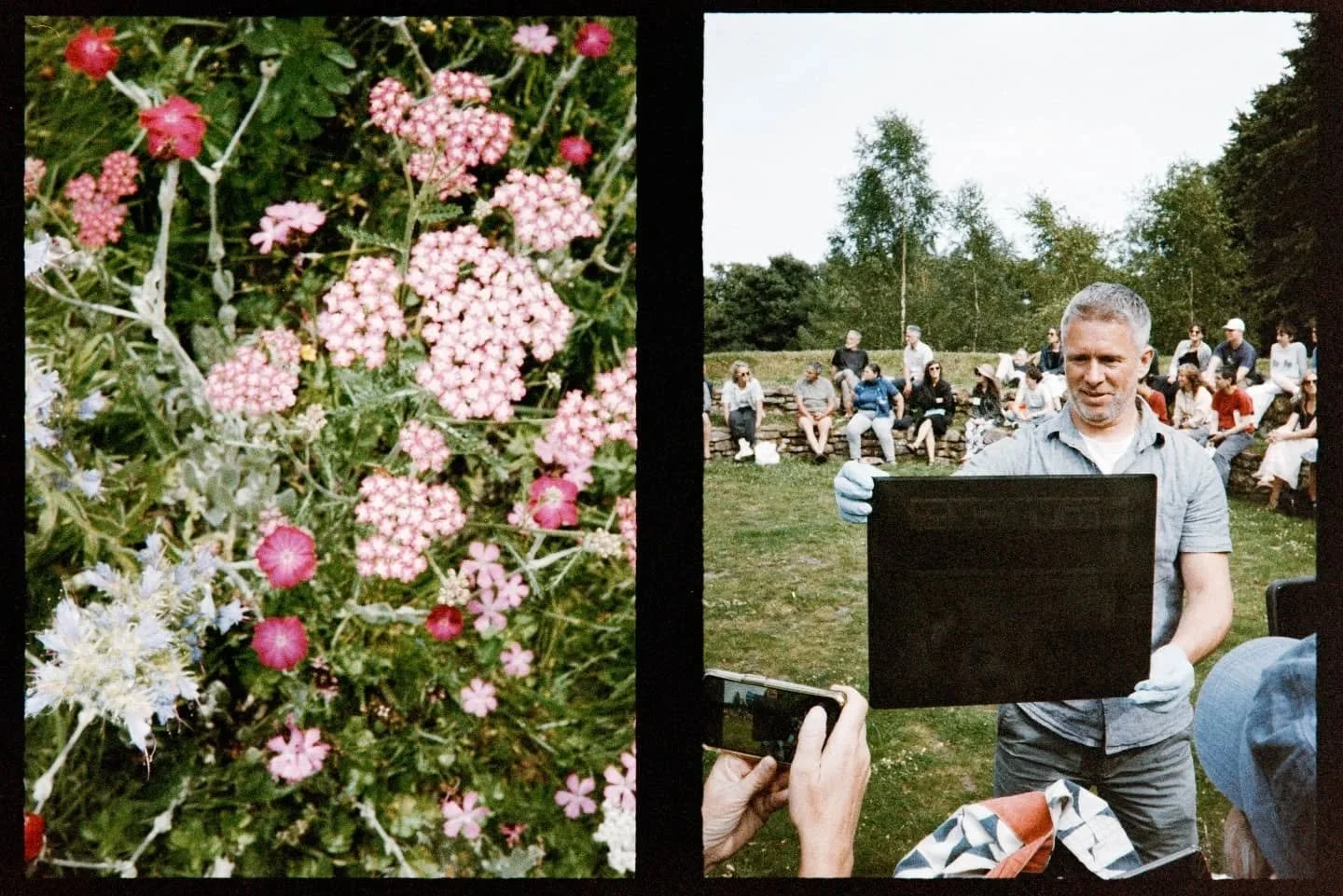 Some dyptics from the Pentax 17 of the Sustainable Photography? Conference @iop_falmouth 🌱 feat. wildflowers gardens, a workshop from @dirttones and a large format camera from 1915 💓
.
.
.
.
.
.
.
.
#thedarkroomsocial #darkroomsocial #analoguephoto