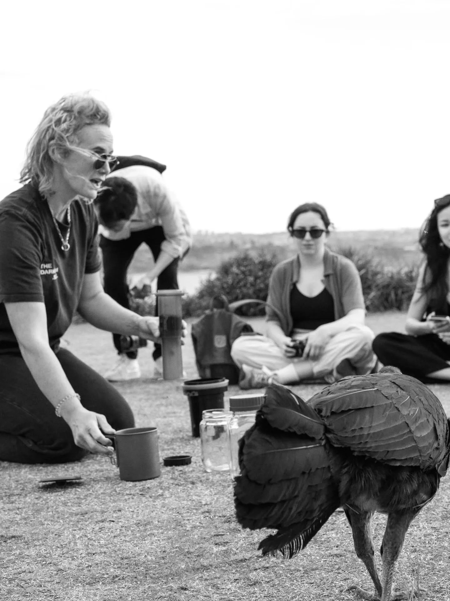 some more pics from our photo bushwalk yesterday, ft. a brush turkey who was VERY curious about our little outdoor processing demo