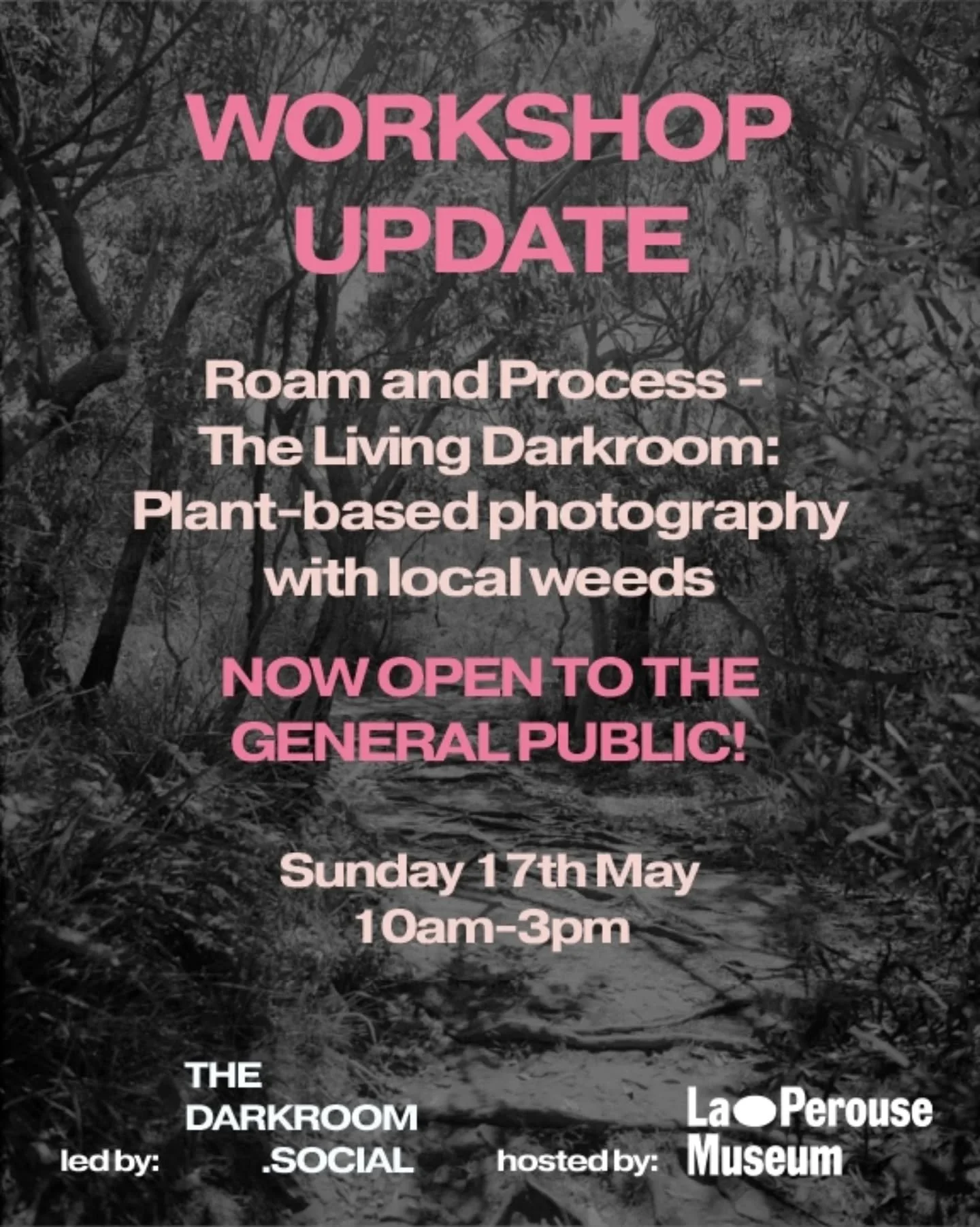 We are opening up ticket sales for our next workshop to the general public (previously advertised for high school students). If you've been wanting to try out some botanical chemistry for film processing this is the workshop for you! We are making an