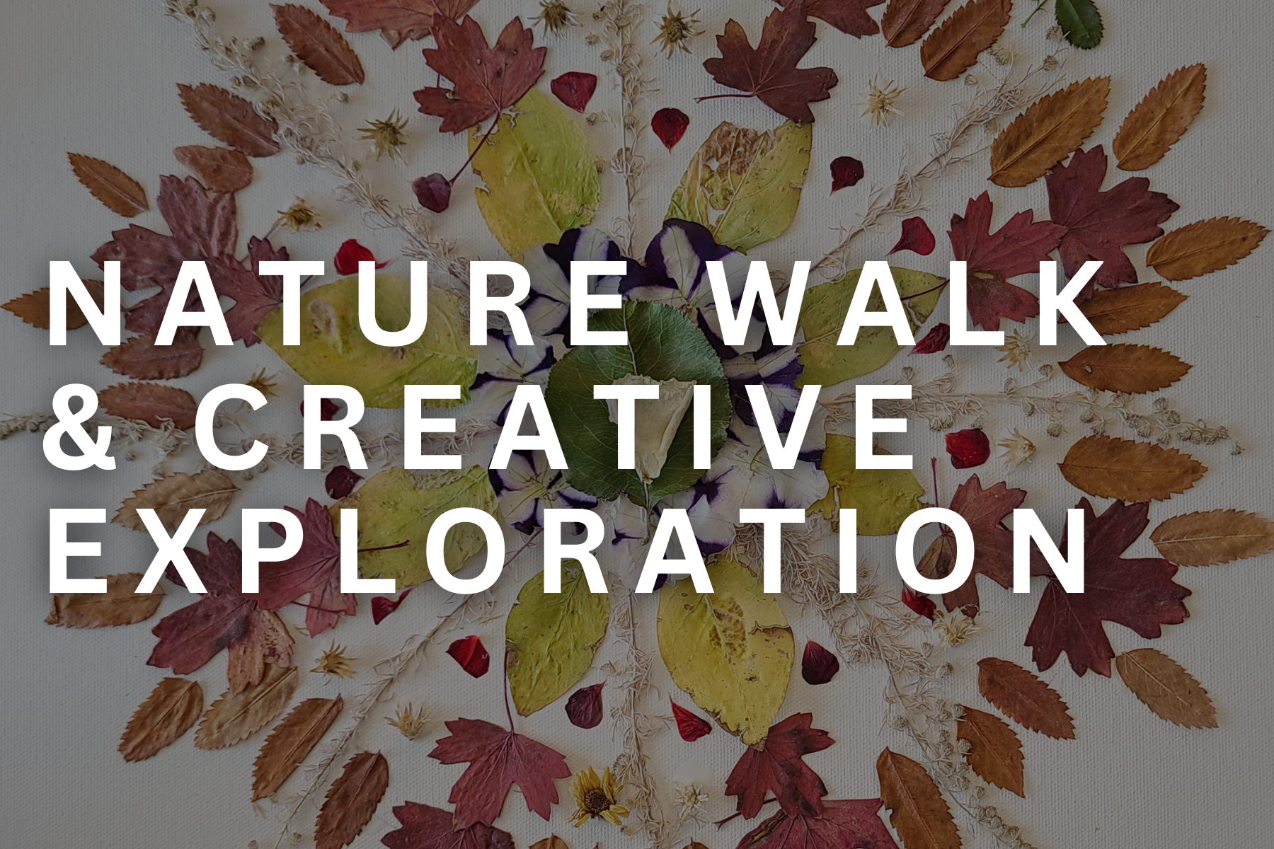 Nature Walk & Creative Exploration