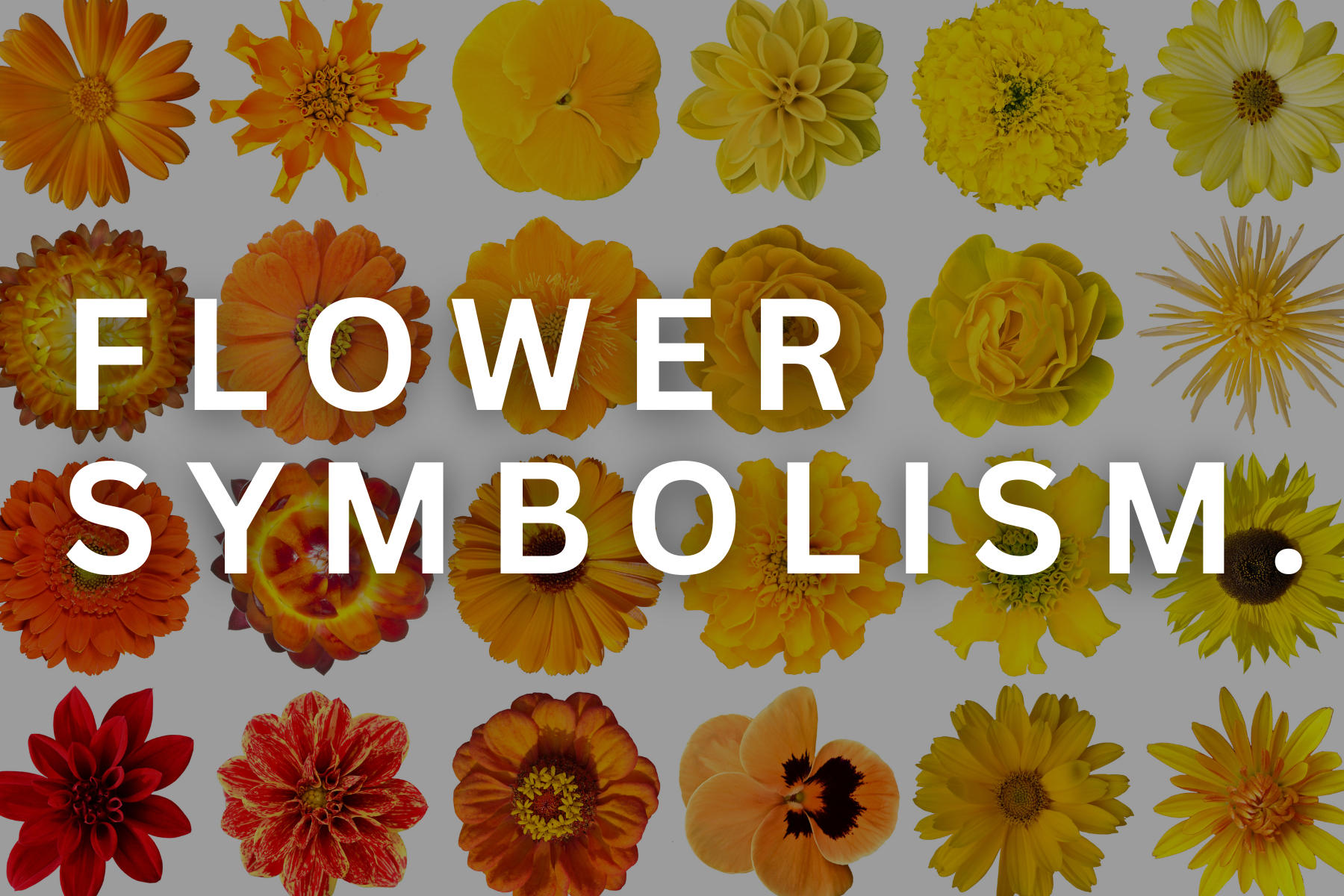 Flower Symbolism.