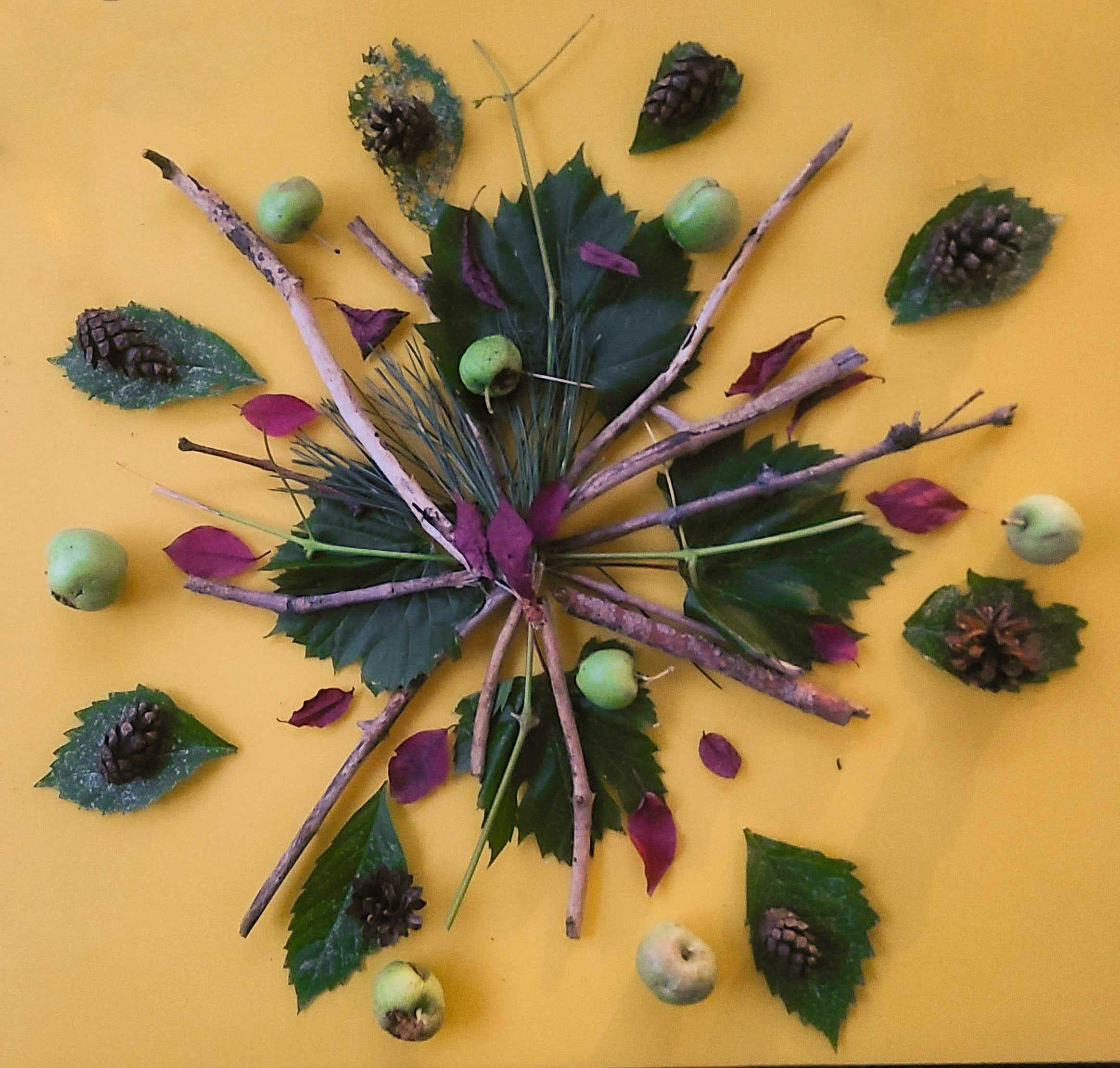 Stephanie's Mandala.png