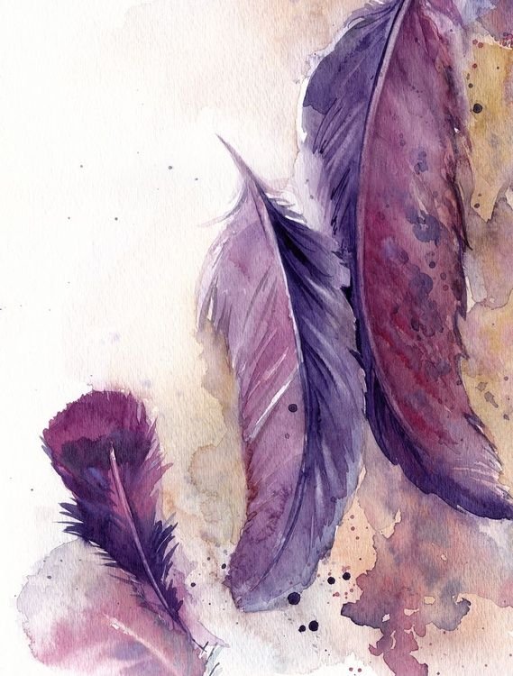 Feathers