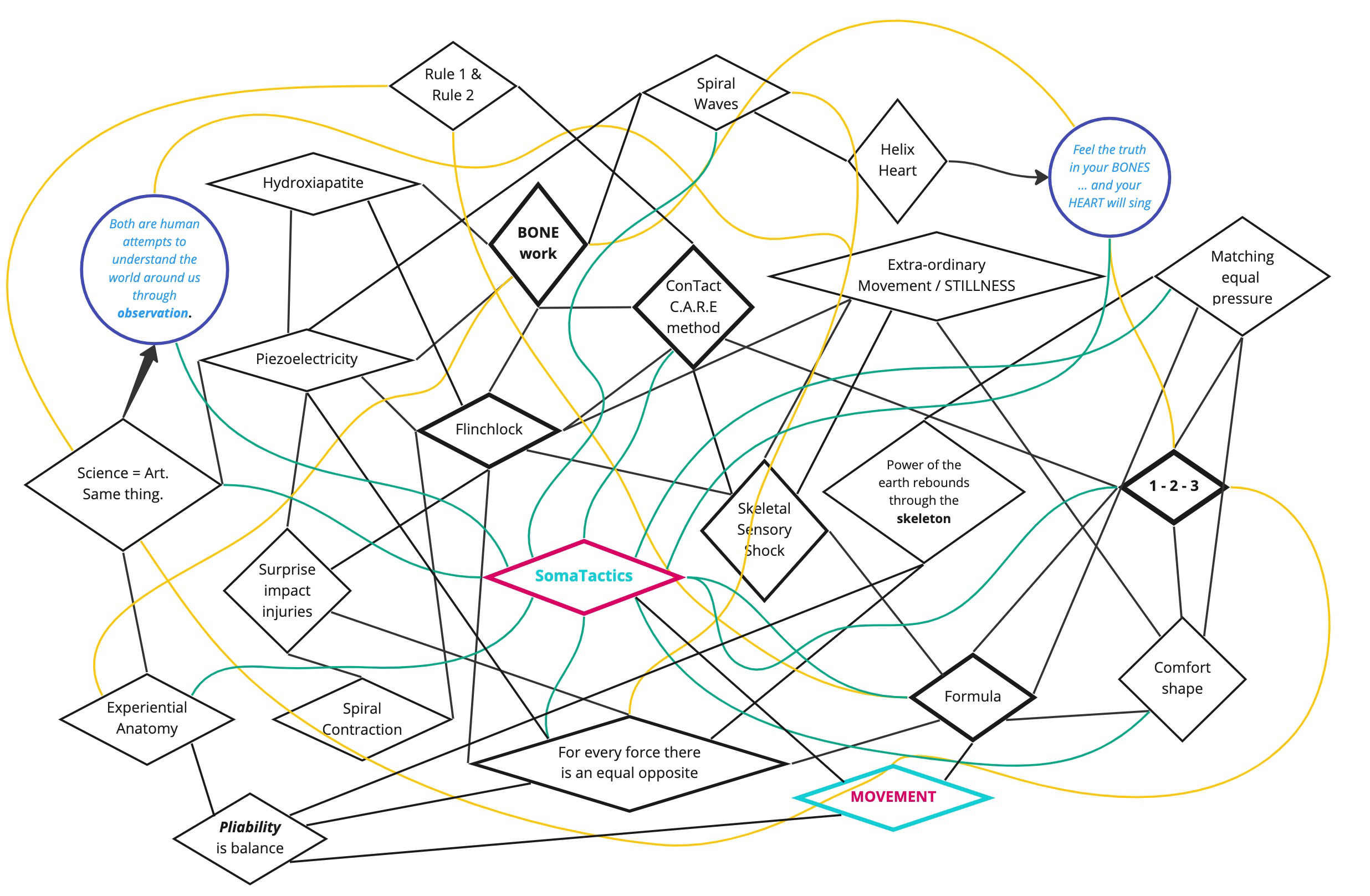 ConTact CARE Rhizome.png