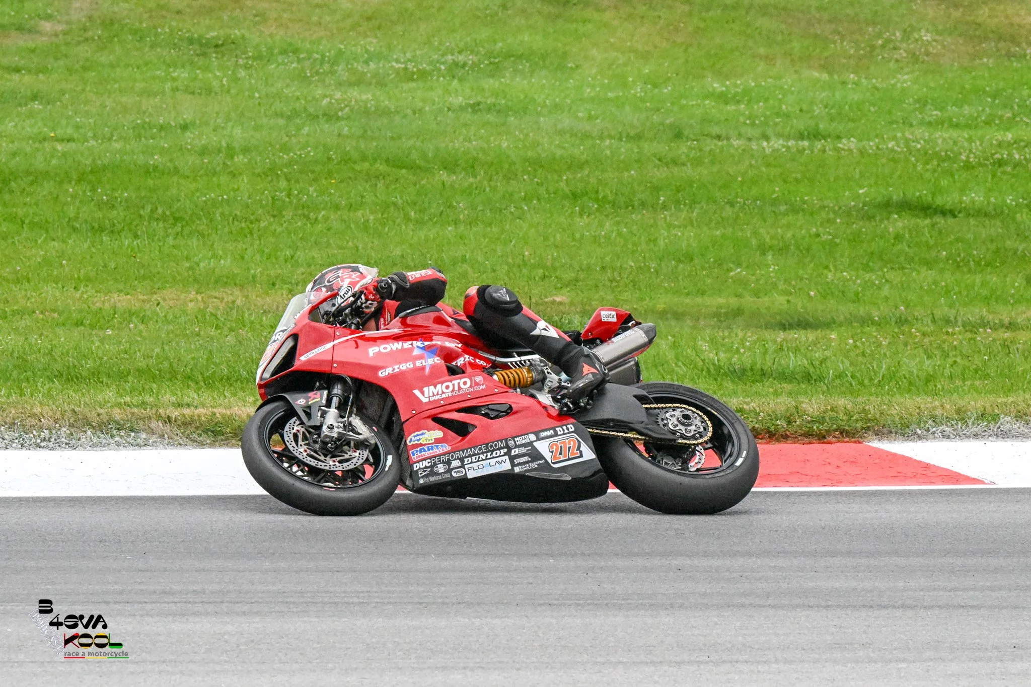 REX_1256.jpg