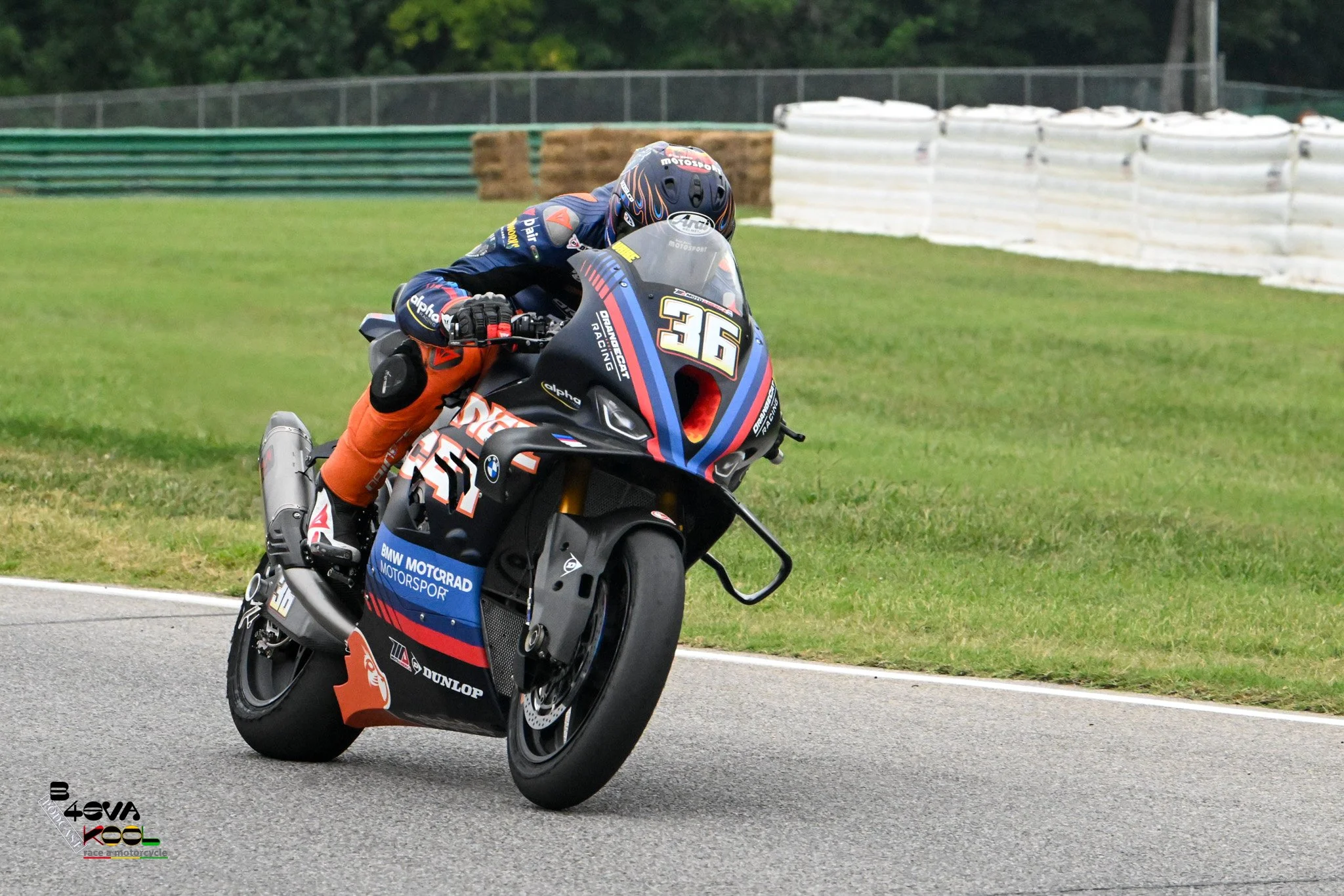 REX_3728.jpg