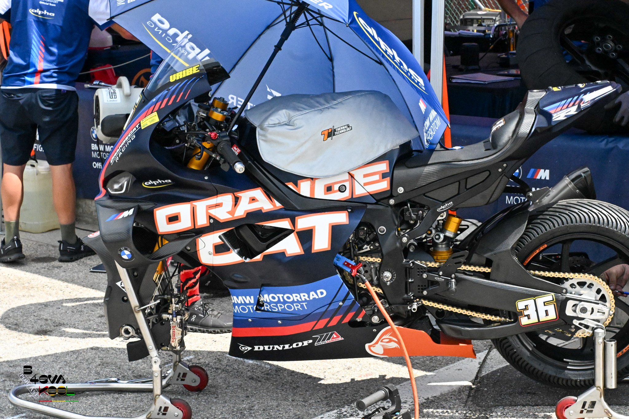 REX_3214.jpg