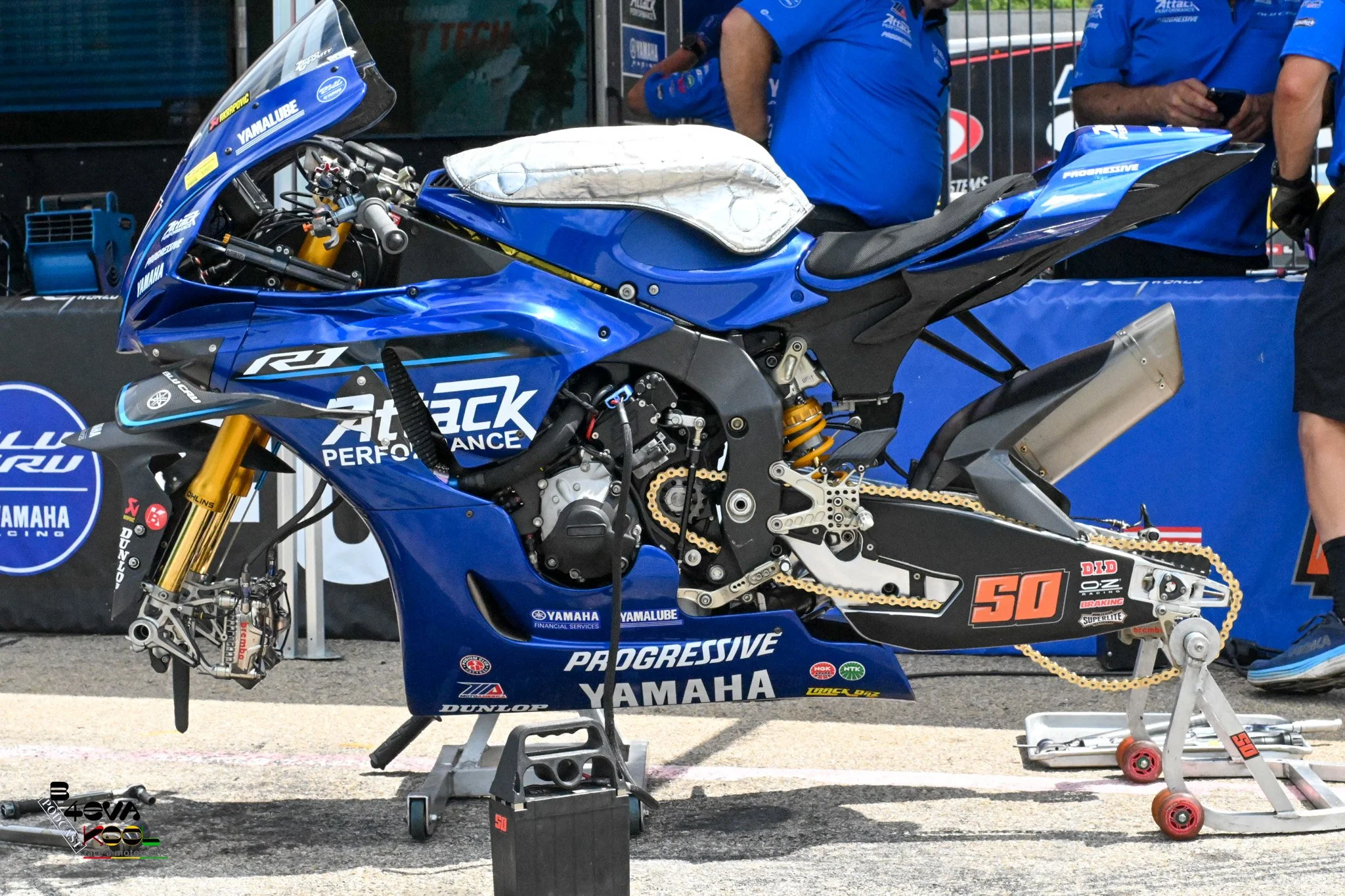 REX_3226.jpg