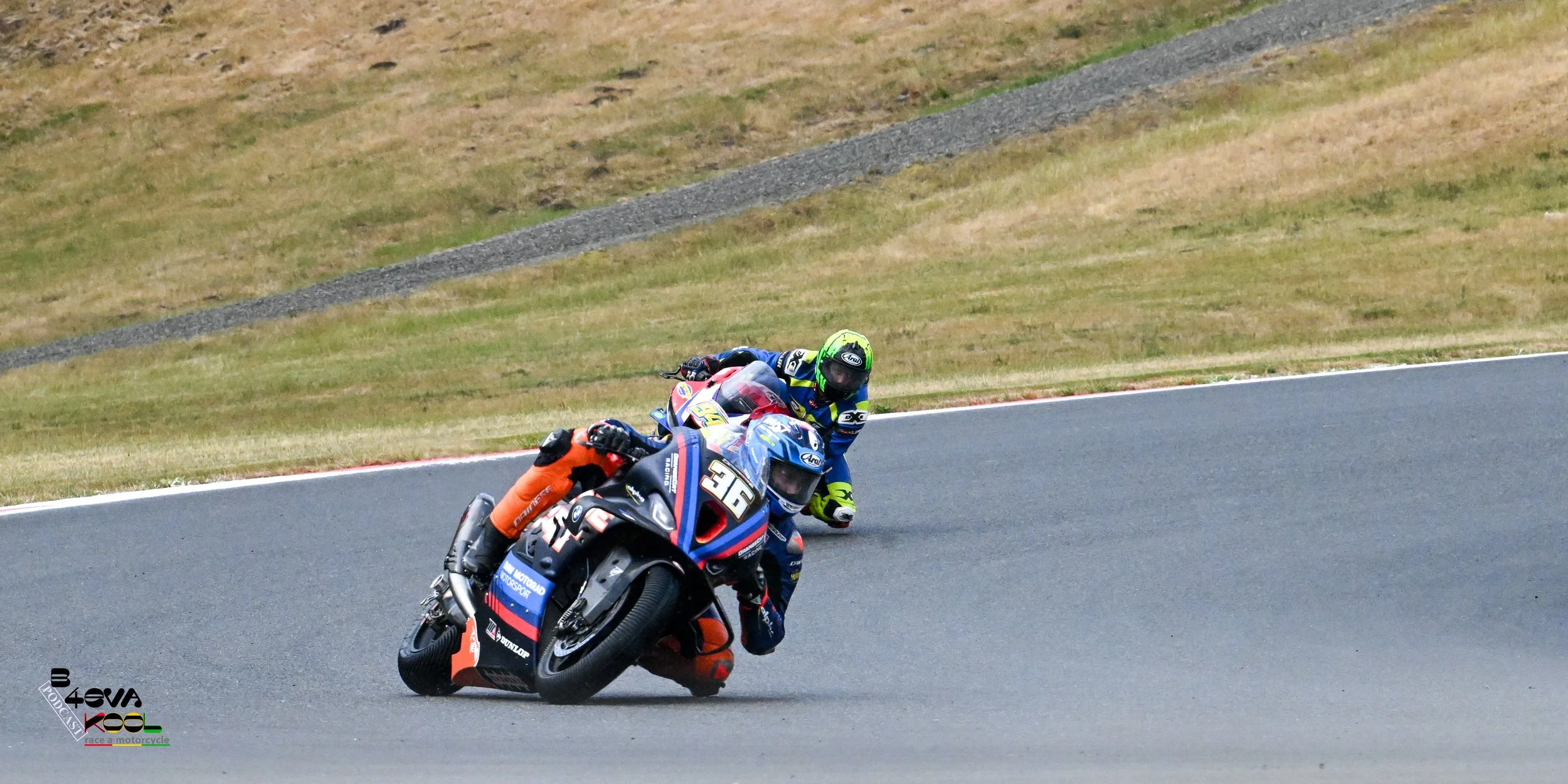 REX_7195.jpg