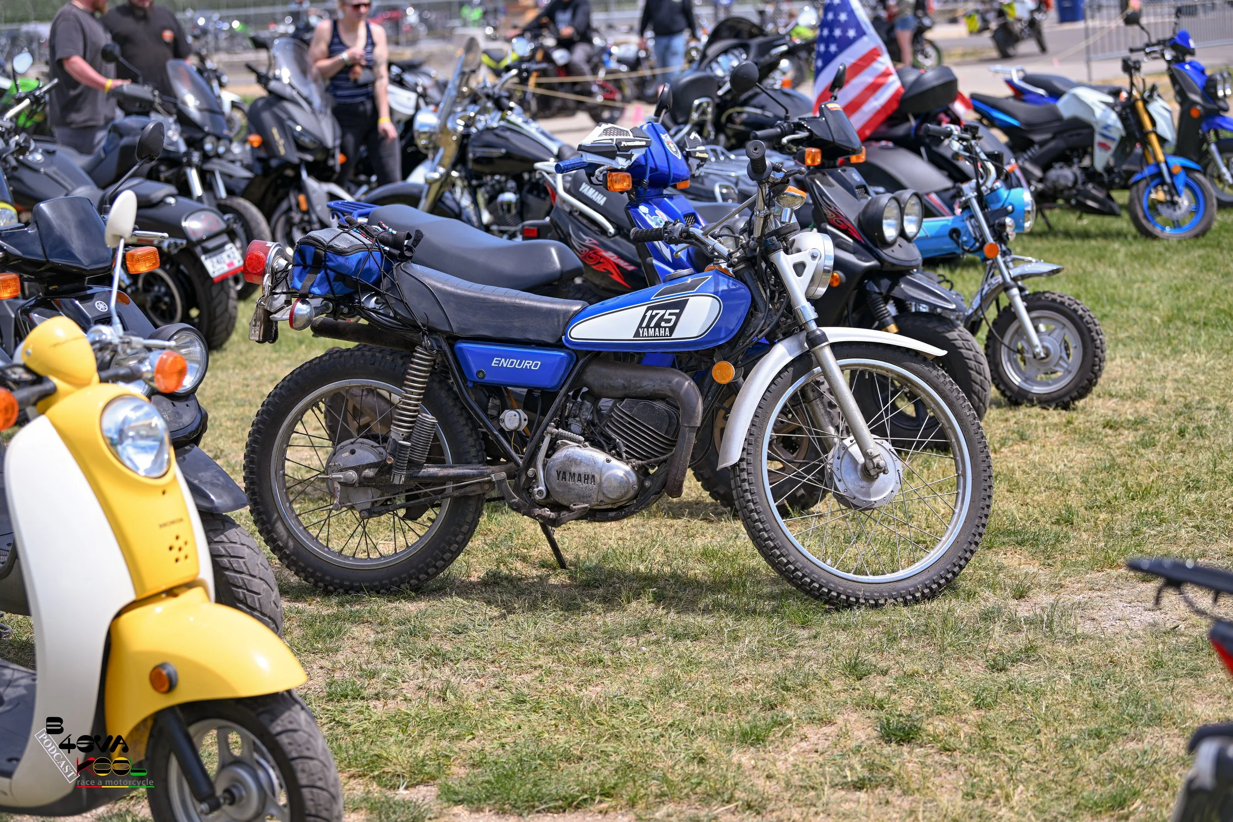 REX_2866.jpg