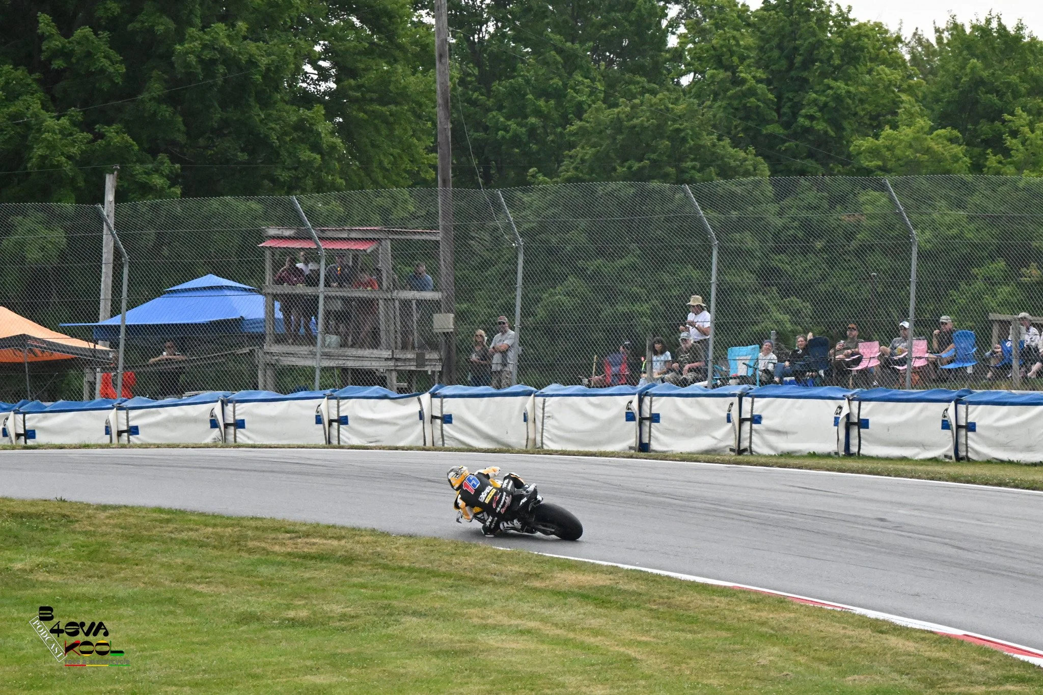A motorcycle racing on a track, leaning into a turn with a black and yellow design. Spectators are watching from the bleachers behind a chain-link fence, with many seated under umbrellas. Trees are visible in the background.