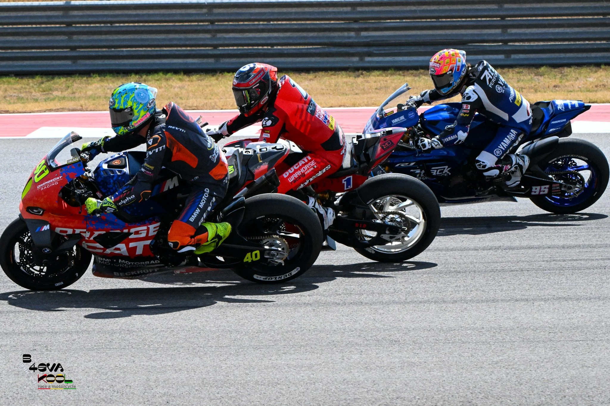 REX_5504.jpg