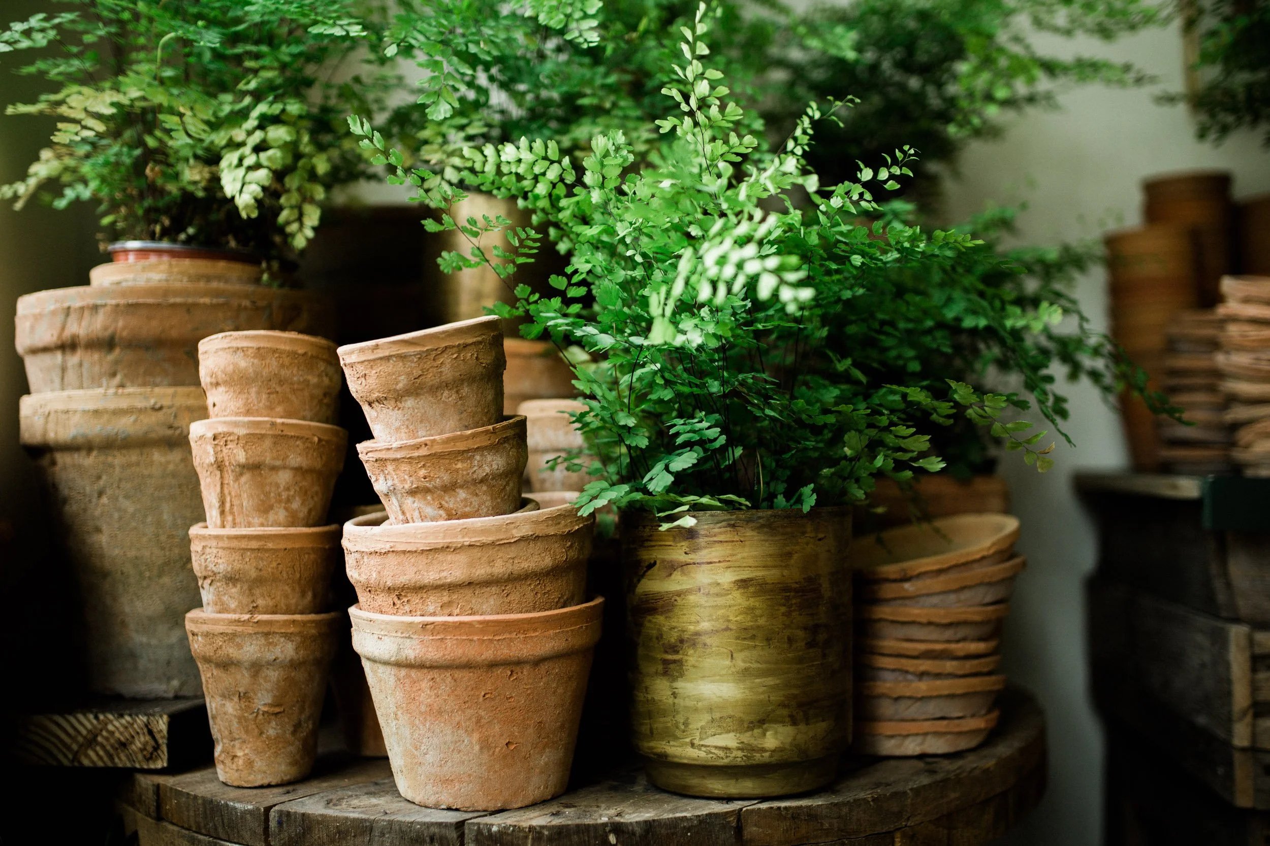 Jennifer Callahan Photography (28 of 77).jpg