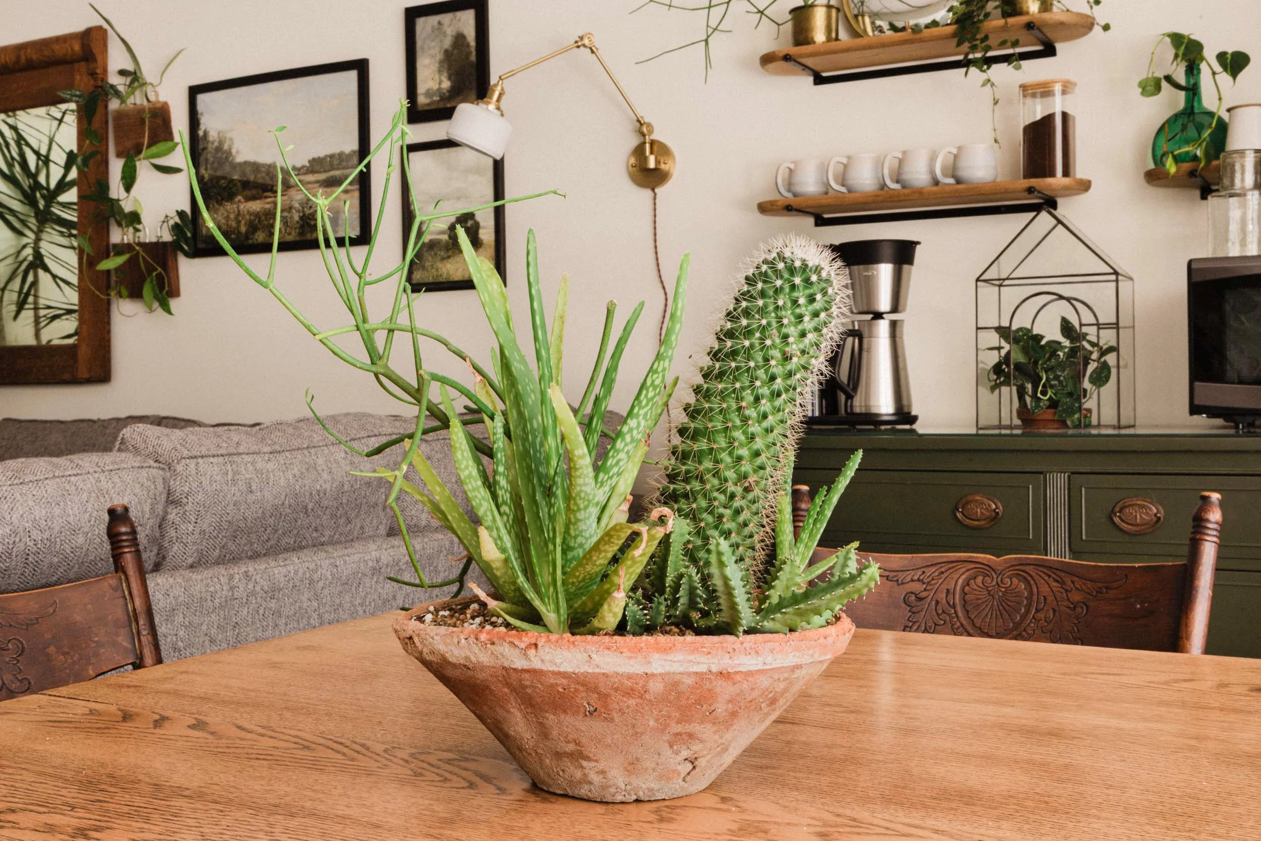 Potted cactus on vintage wood table; professional interior portfolio shot.