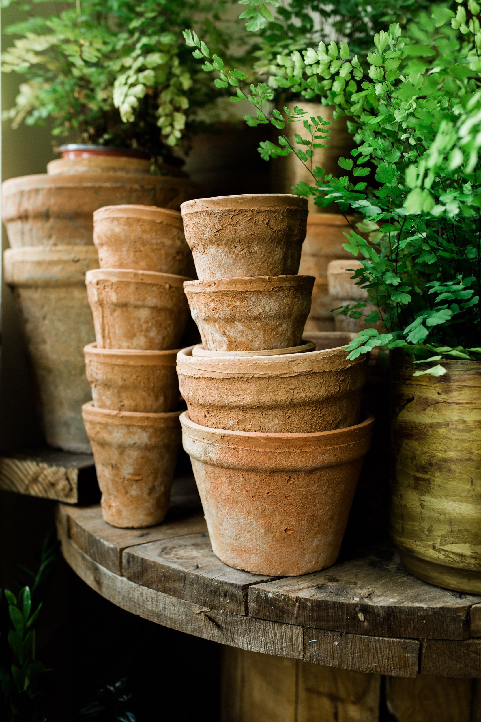Jennifer Callahan Photography (29 of 77).jpg