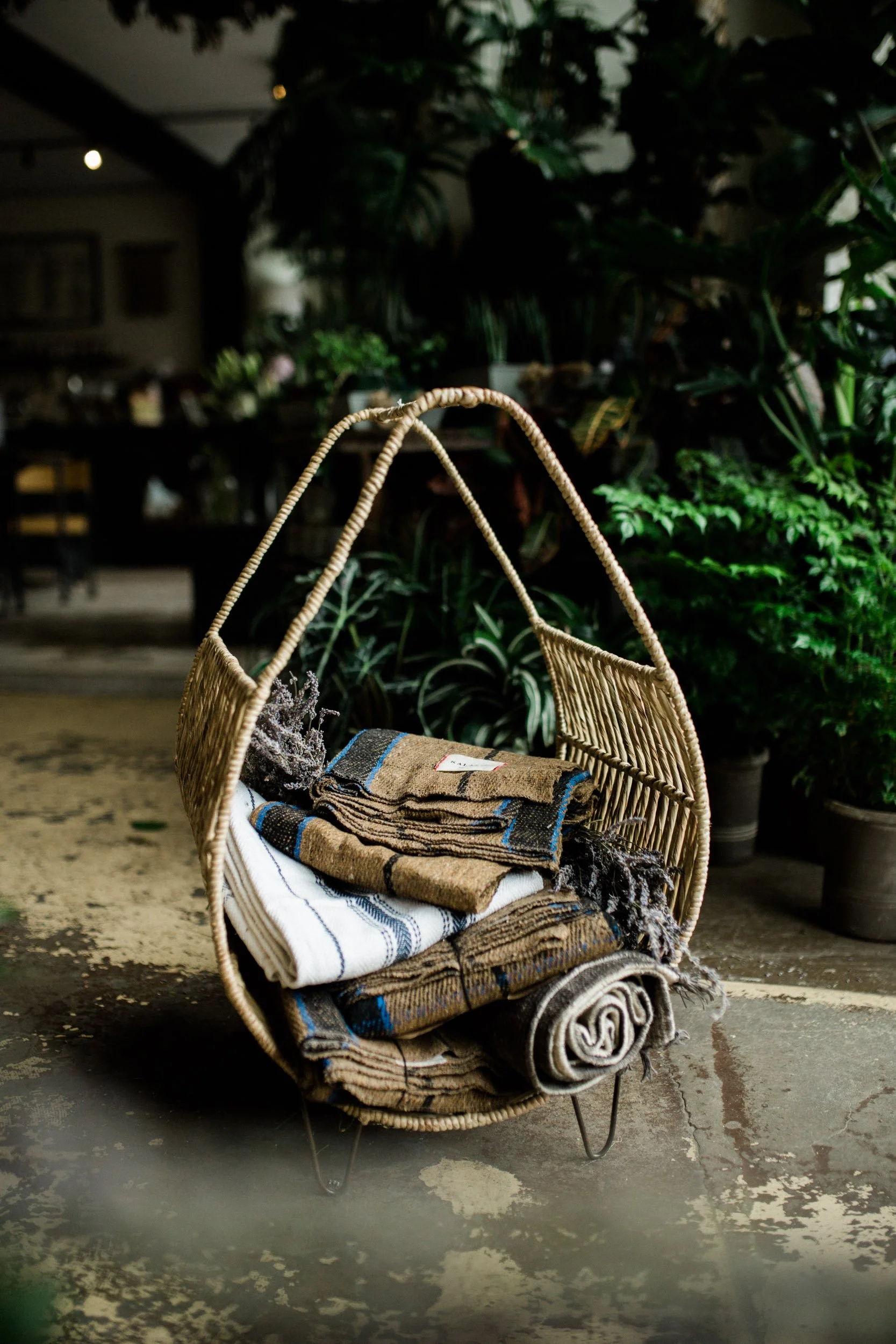 Jennifer Callahan Photography (132 of 61).jpg