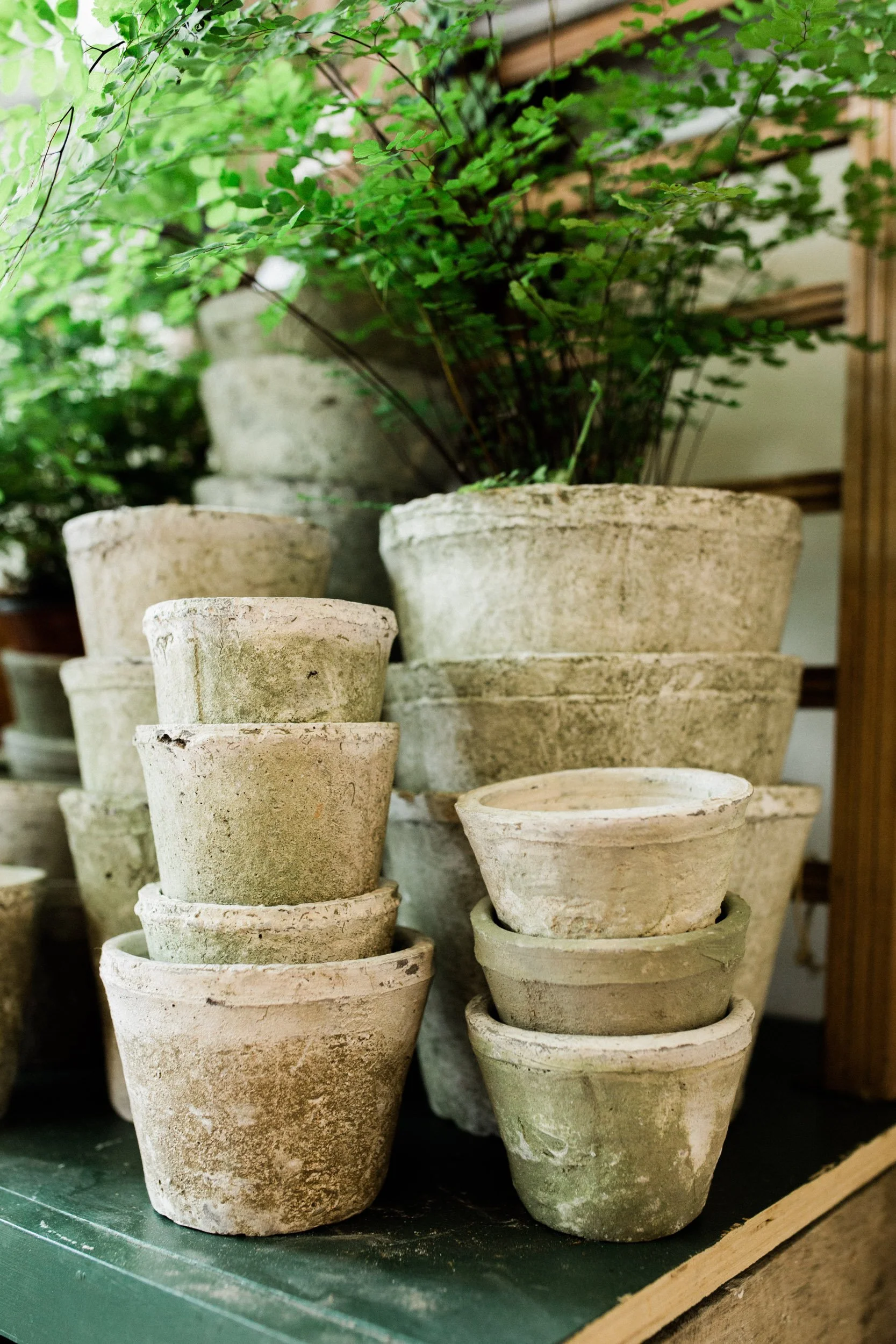 Jennifer Callahan Photography (18 of 77).jpg