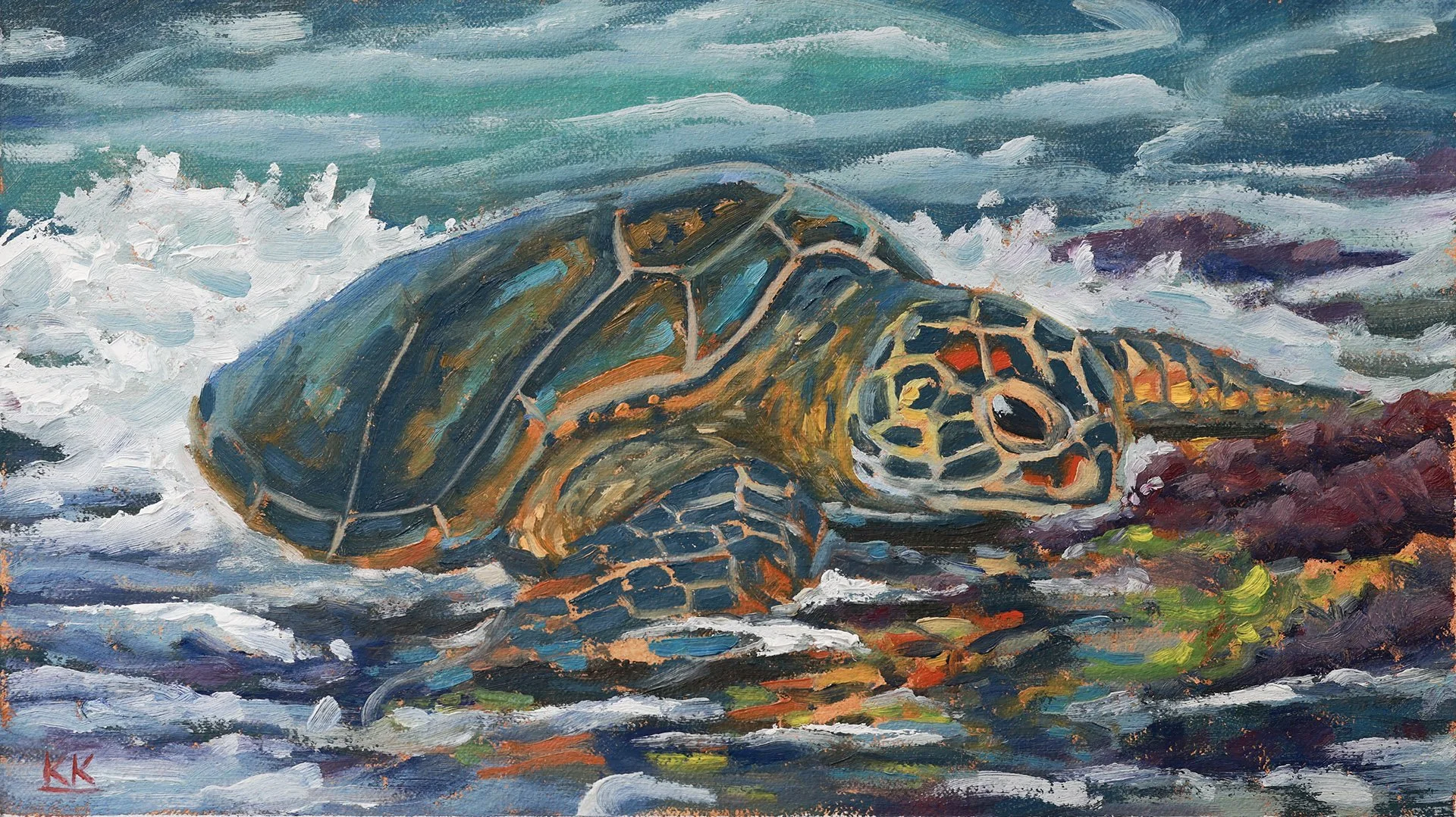 Oahu_Turtle_01_kk_v001smll.jpg