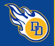 Logo of a blue and yellow flaming torch with the letters 'LD' inside a circular outline.
