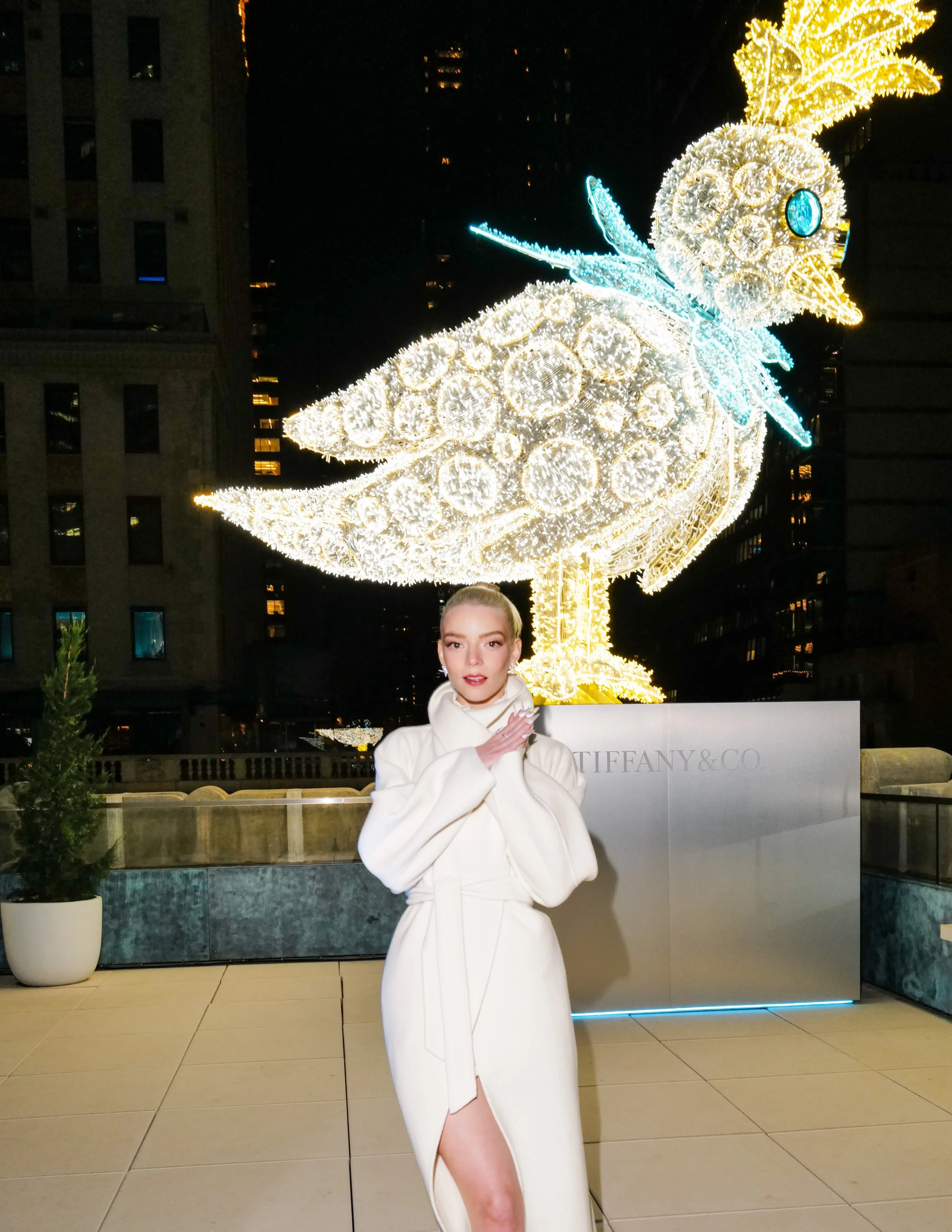 Tiffany & Co. Holiday Launch