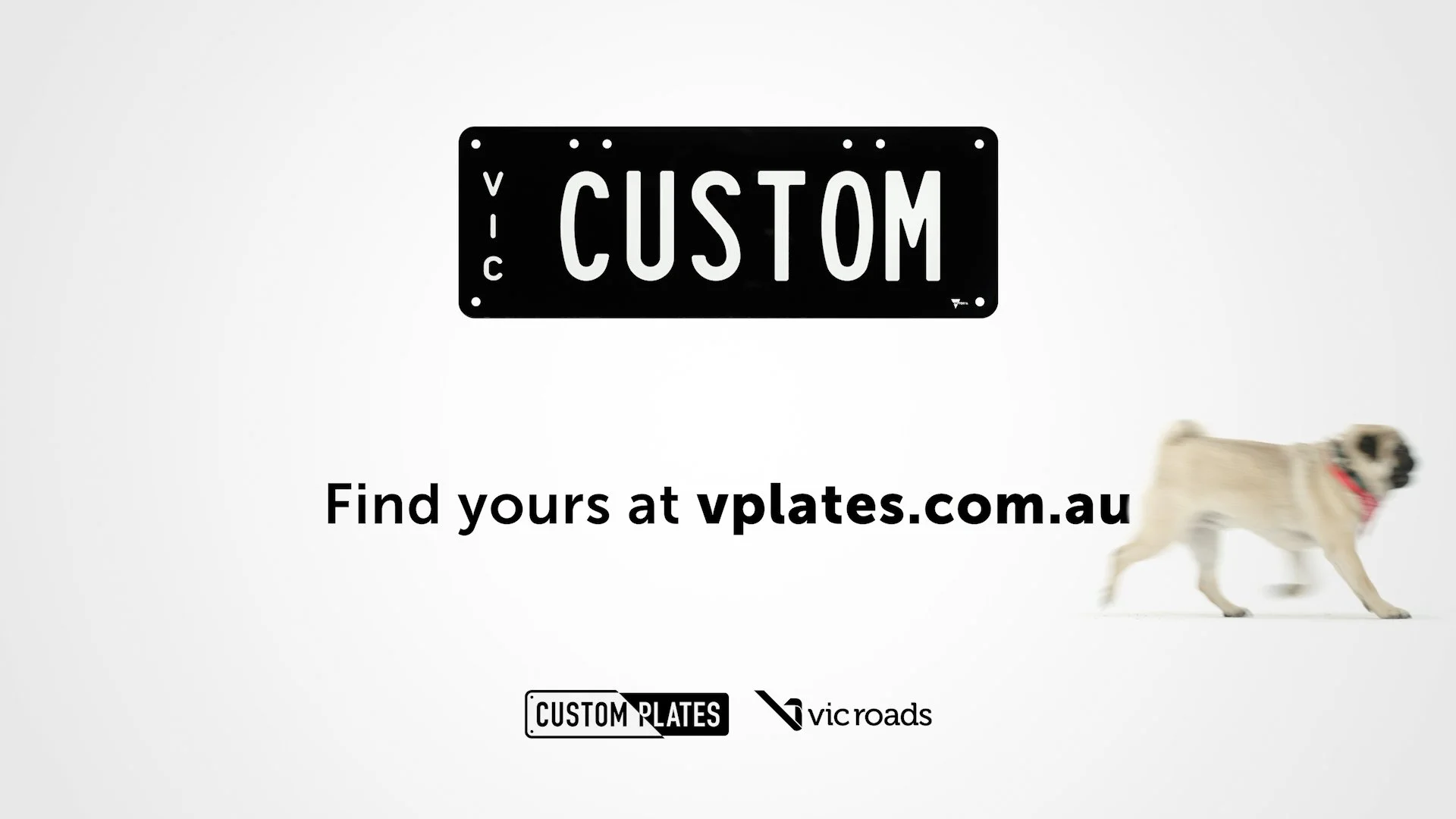 Custom-Plates-10.jpg