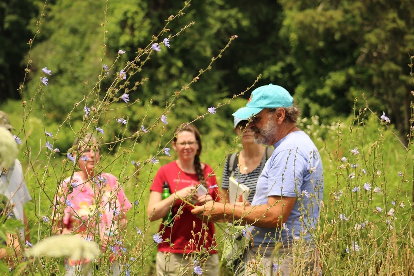Wild Edible Plants and Mushrooms of Cape Cod with Author Russ Cohen