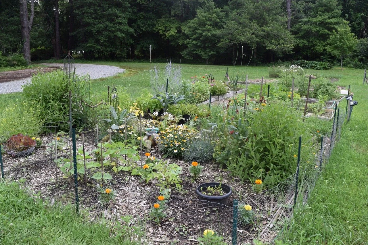 High Summer Garden - Plants &amp; Practices