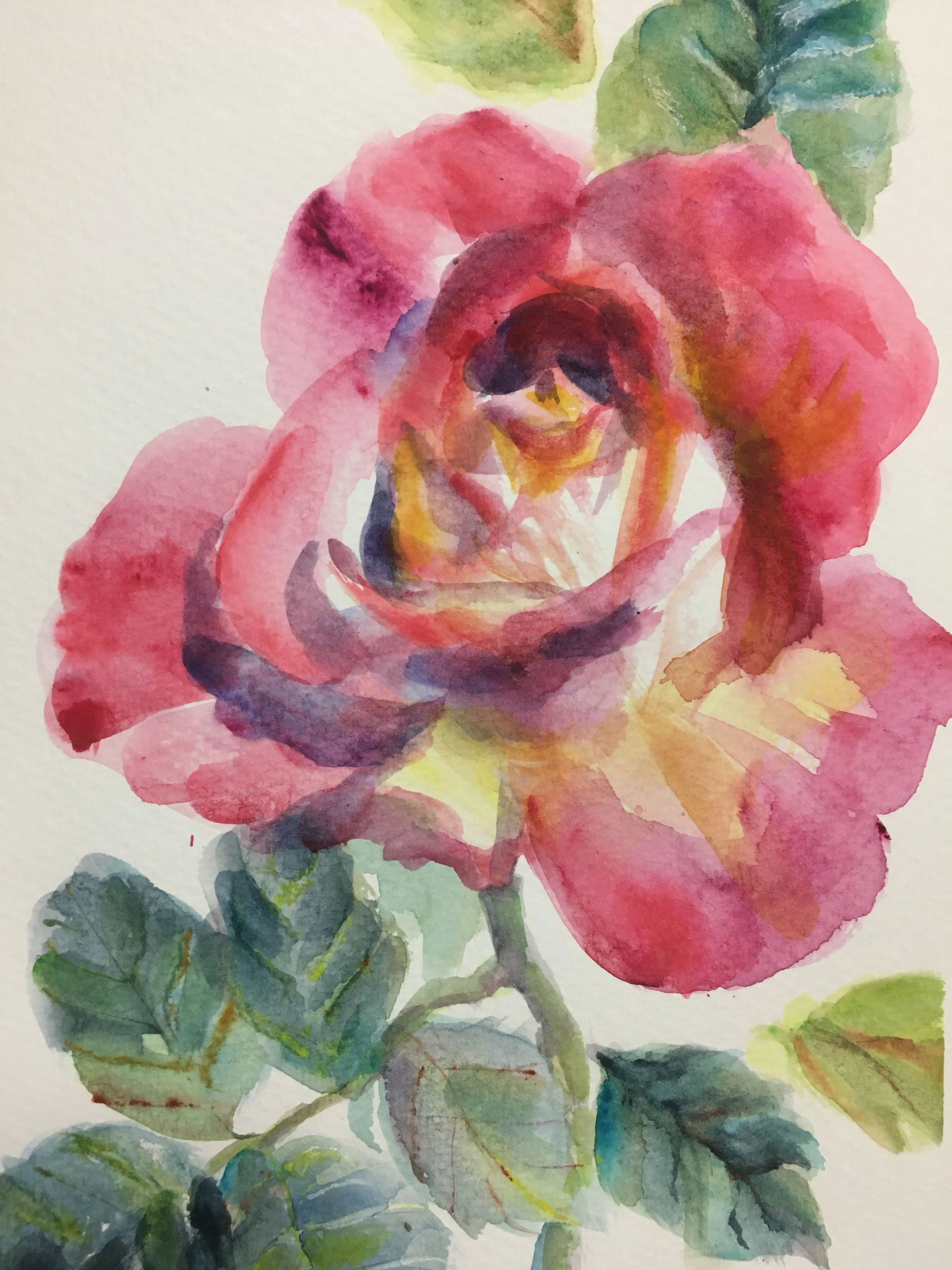 Red and Yellow Rose, 2025.  Watercolor, 9 x 12.