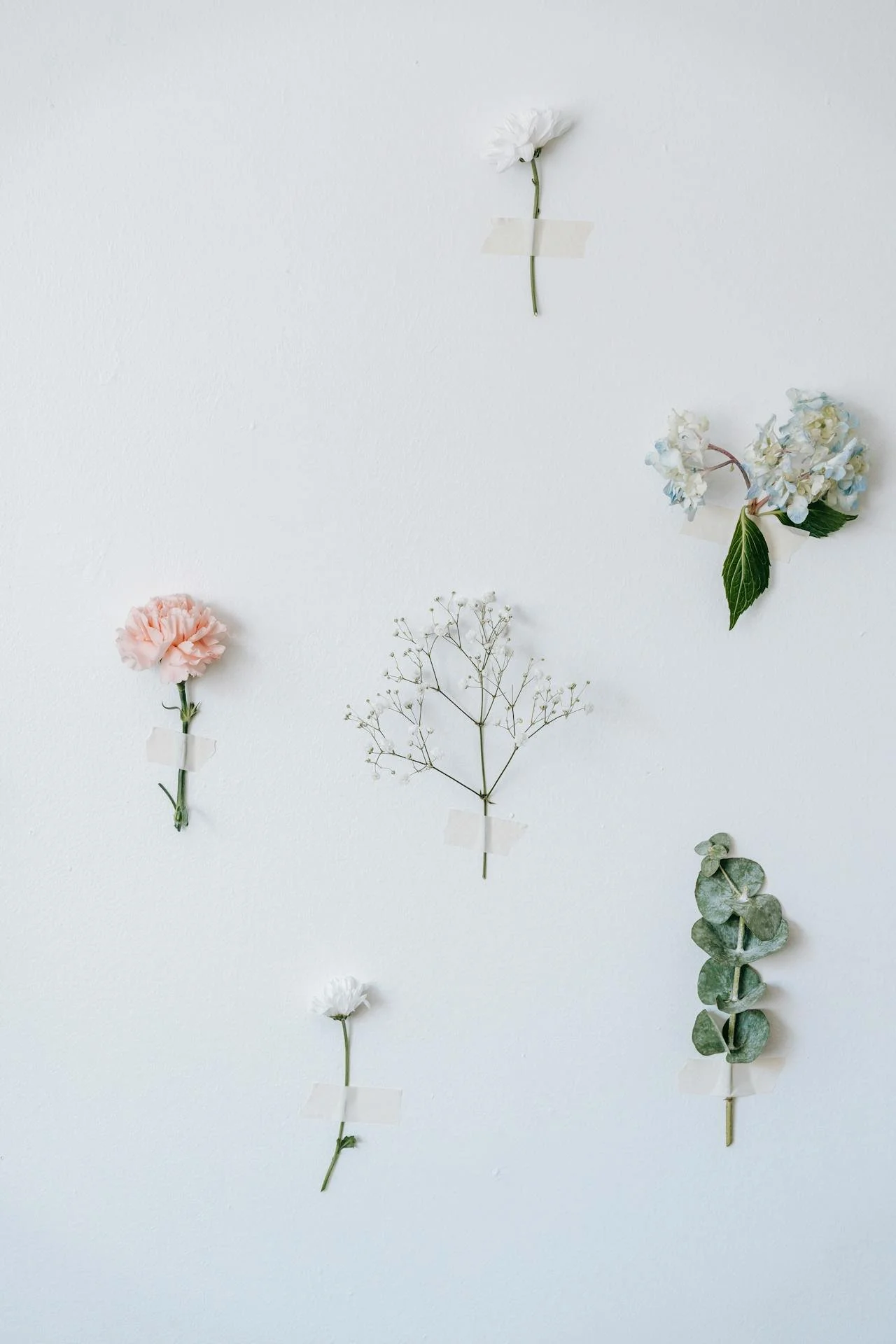 B2B florist Hong Kong