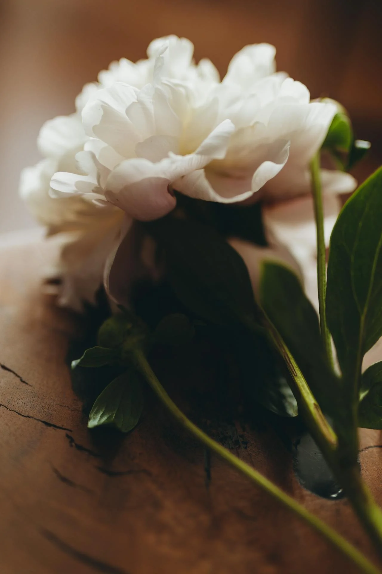 Condolence flowers in Hong Kong for delivery