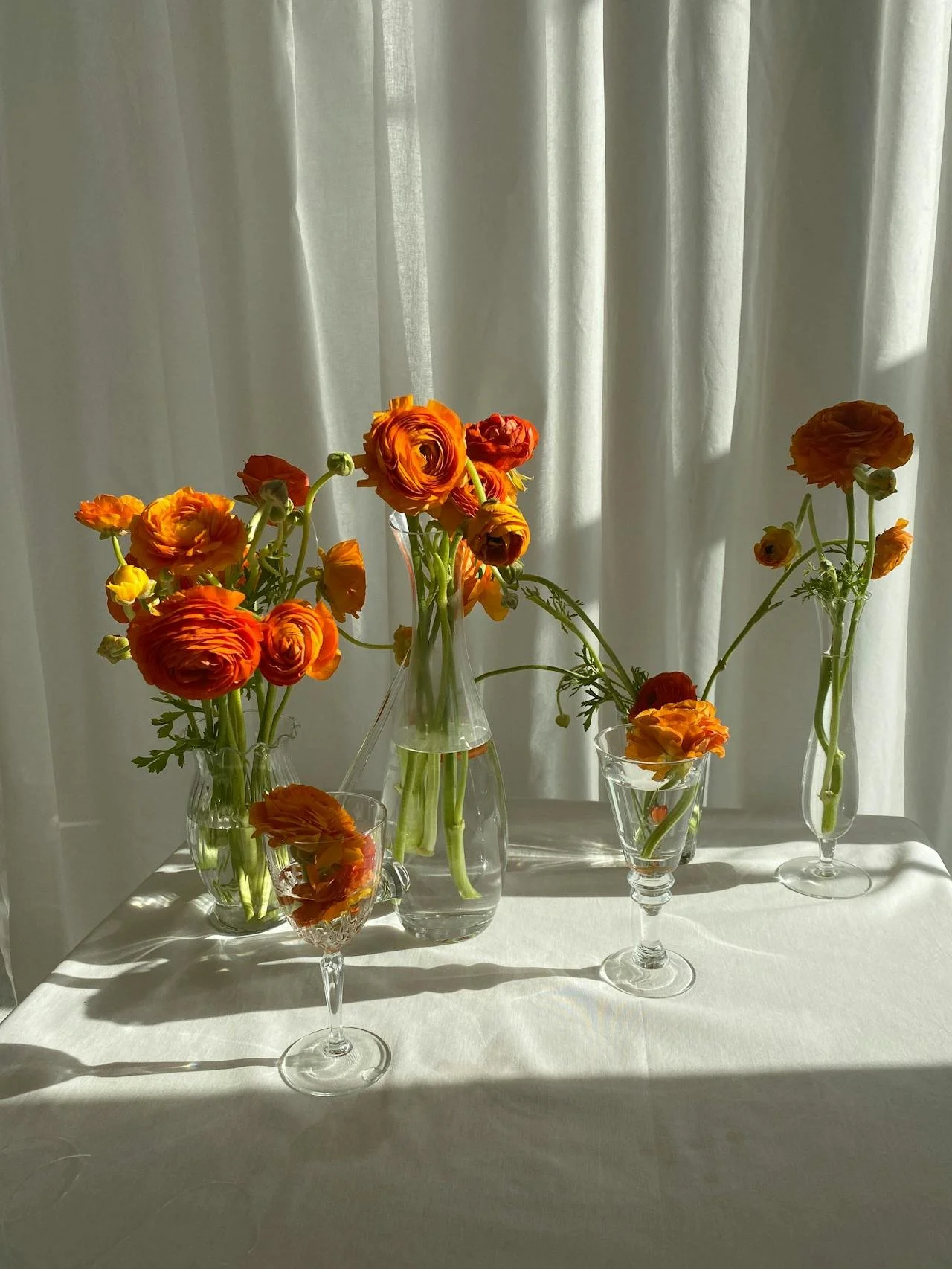 ranunculus HK florist
