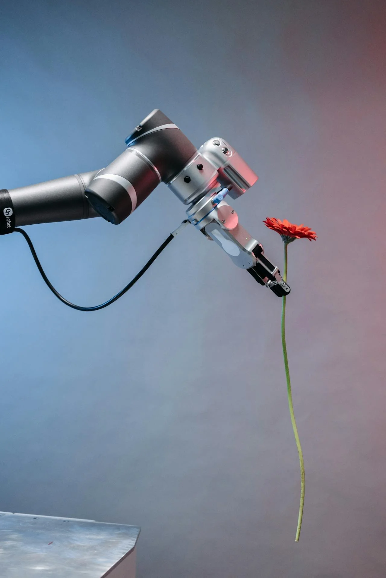 HK flower arrangements using robots