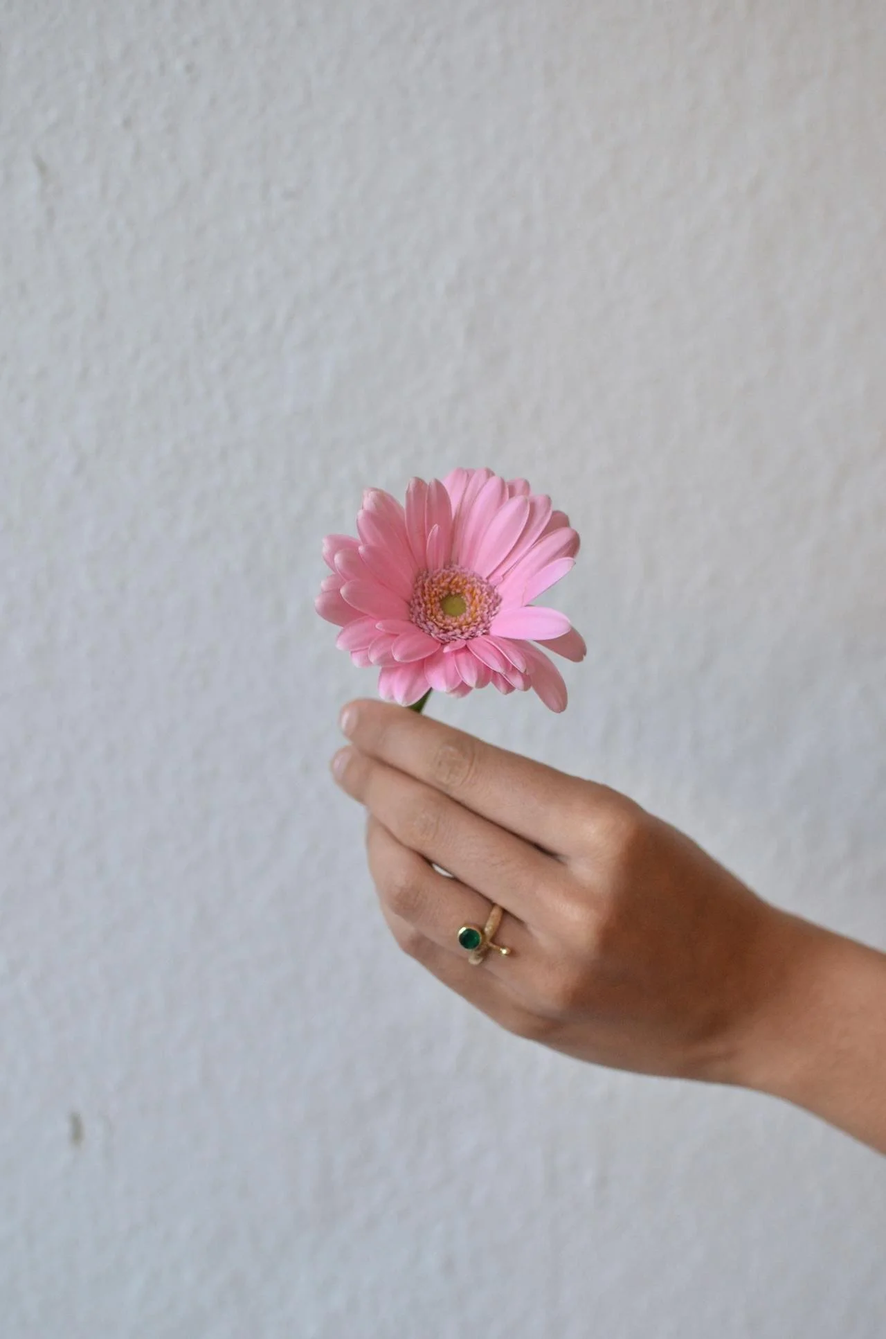 Hong Kong florists on xiaohongshu