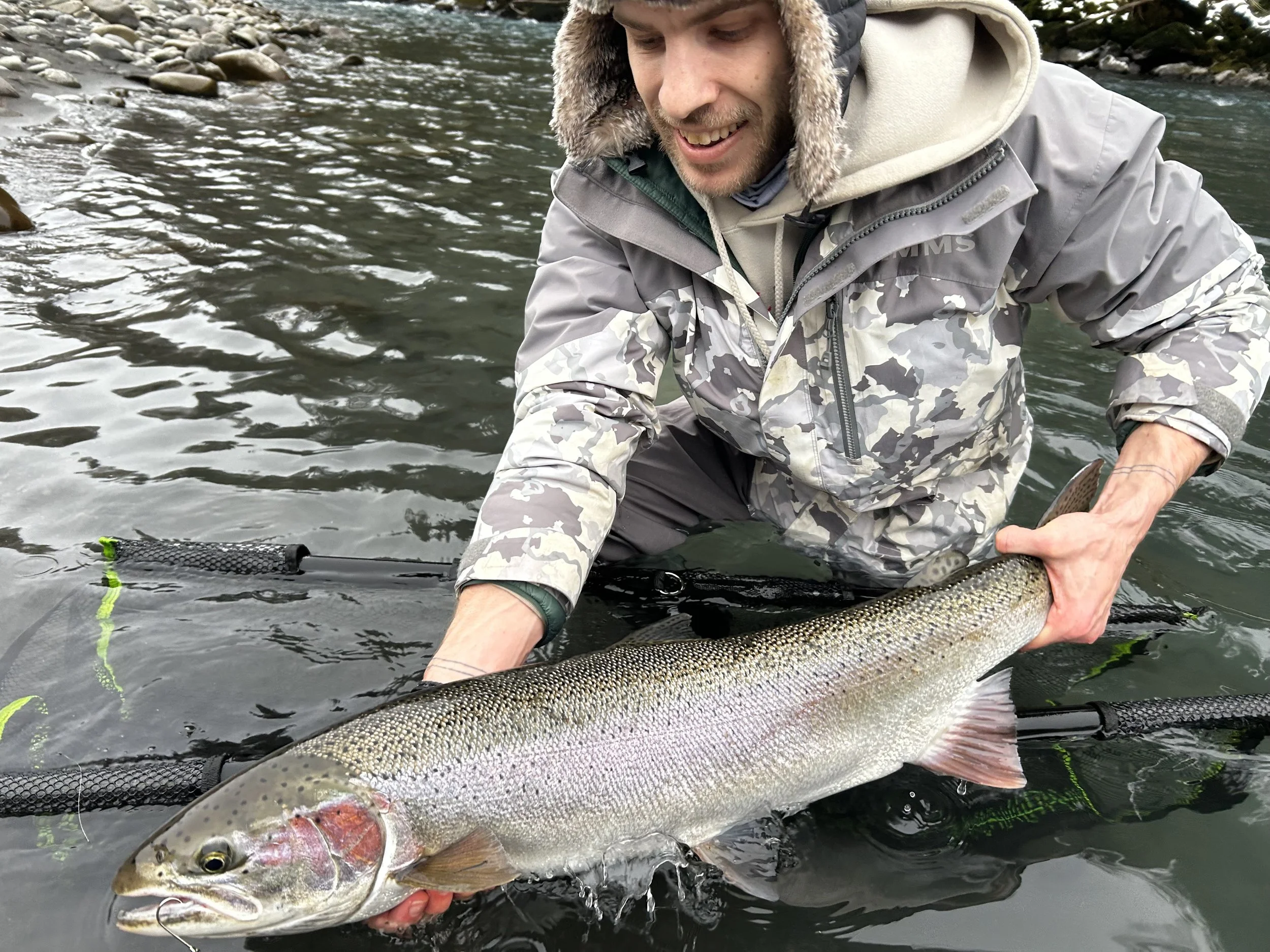 02/13/2025 - Hoh Steelhead, Hen, Len: ?. Gray spinner