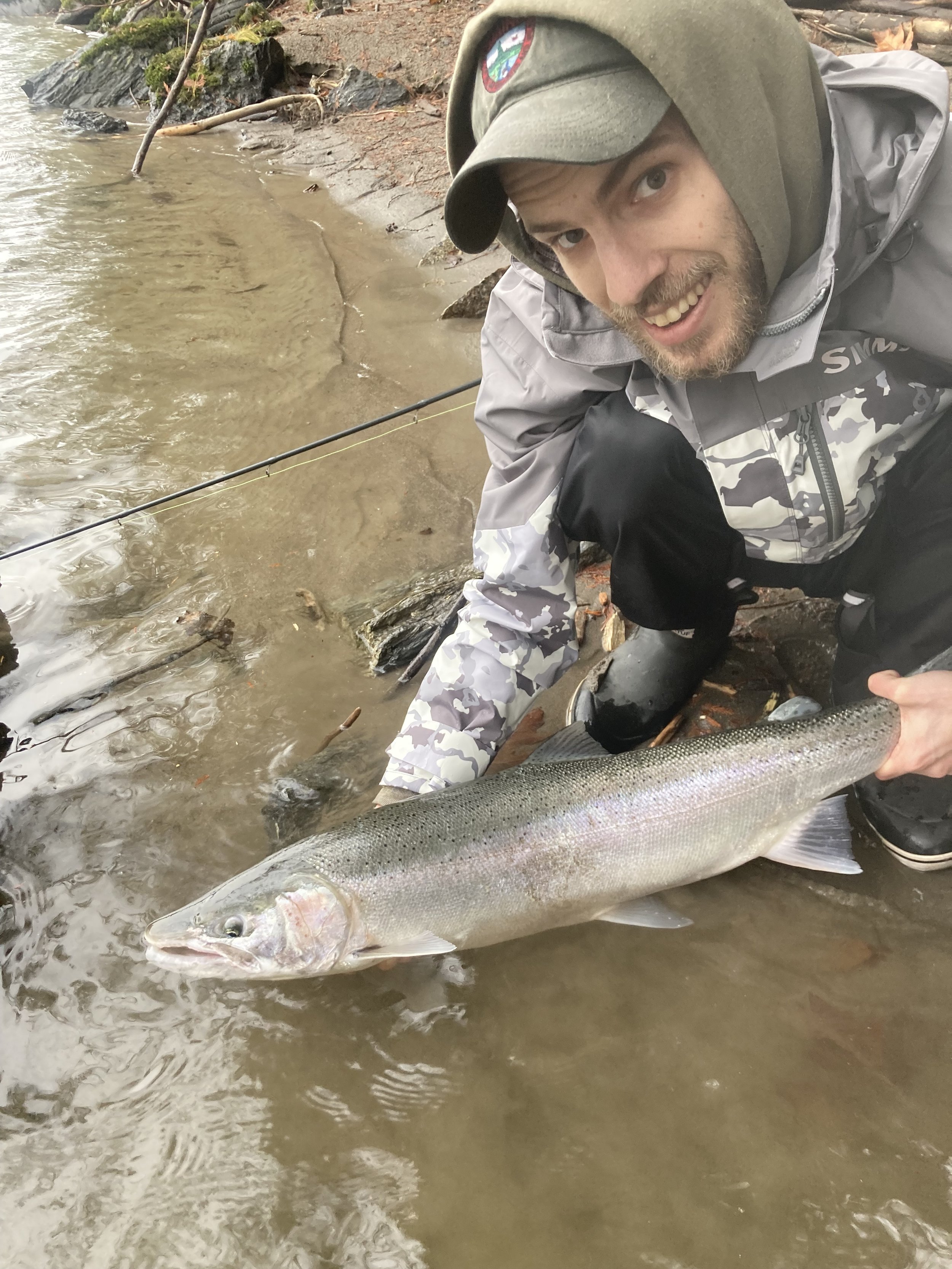 First steelhead ever, Sauk River Dec 29.