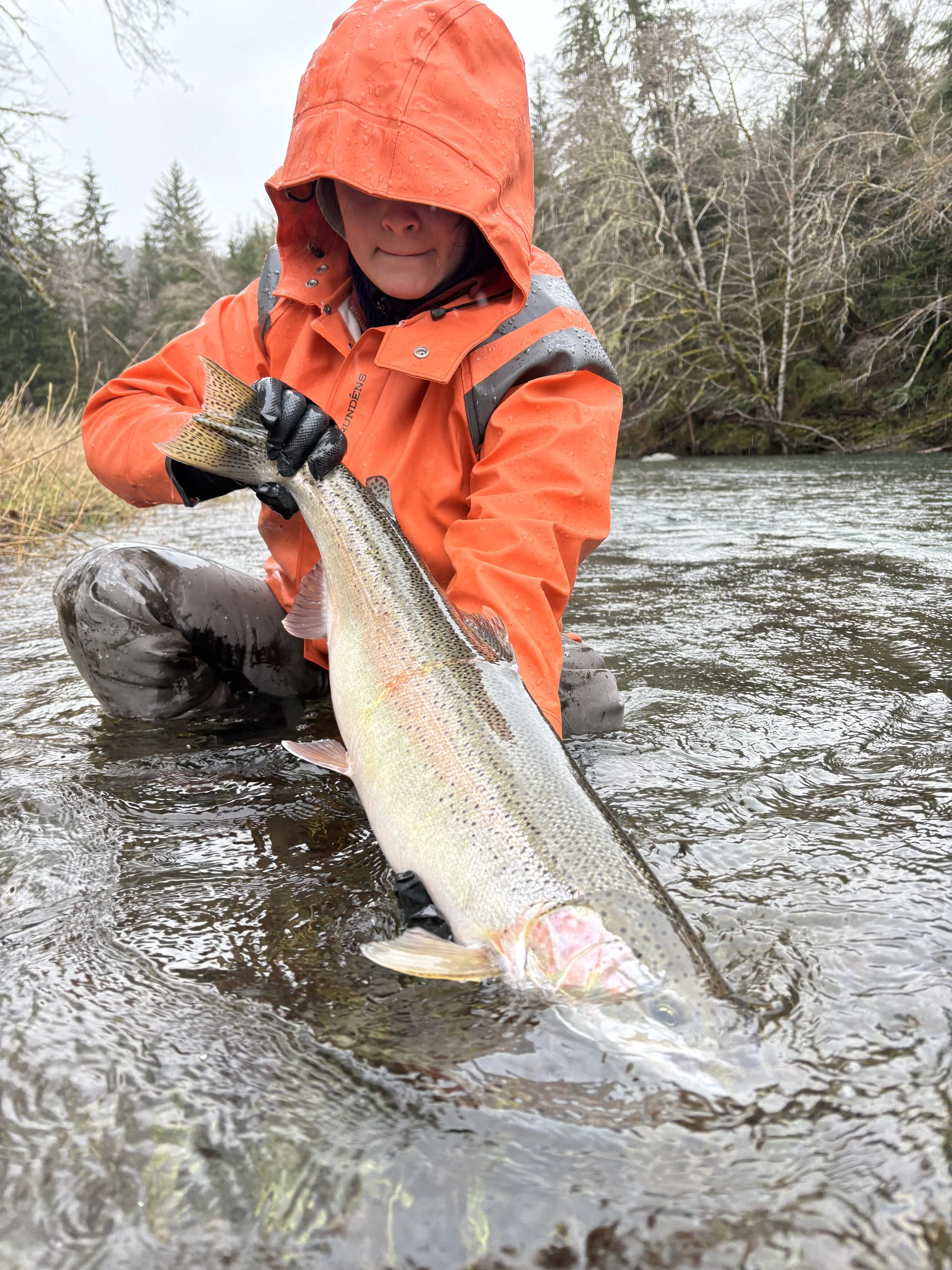 02/13/2026 - Sol Duc Steelhead, Hen, Len: 32. 2/3oz silver spoon