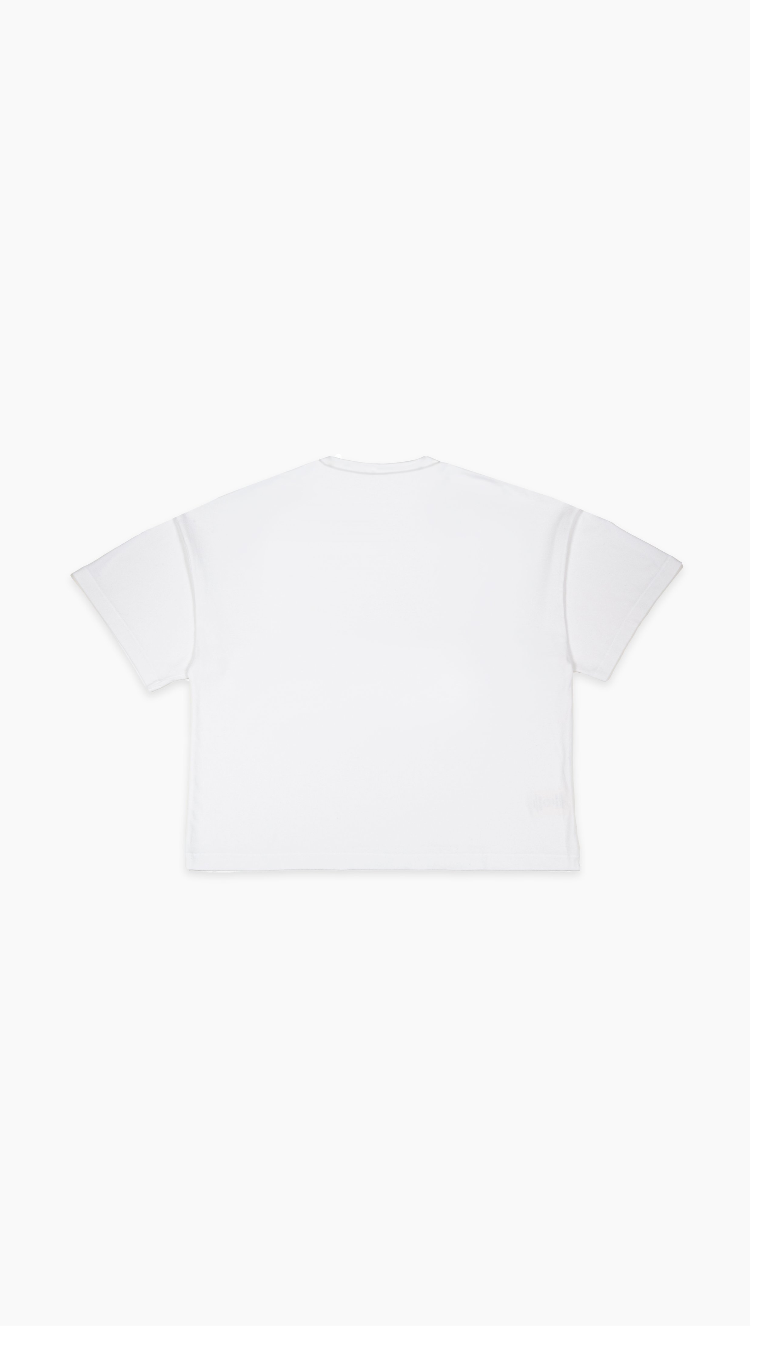 tee - white - back.jpg